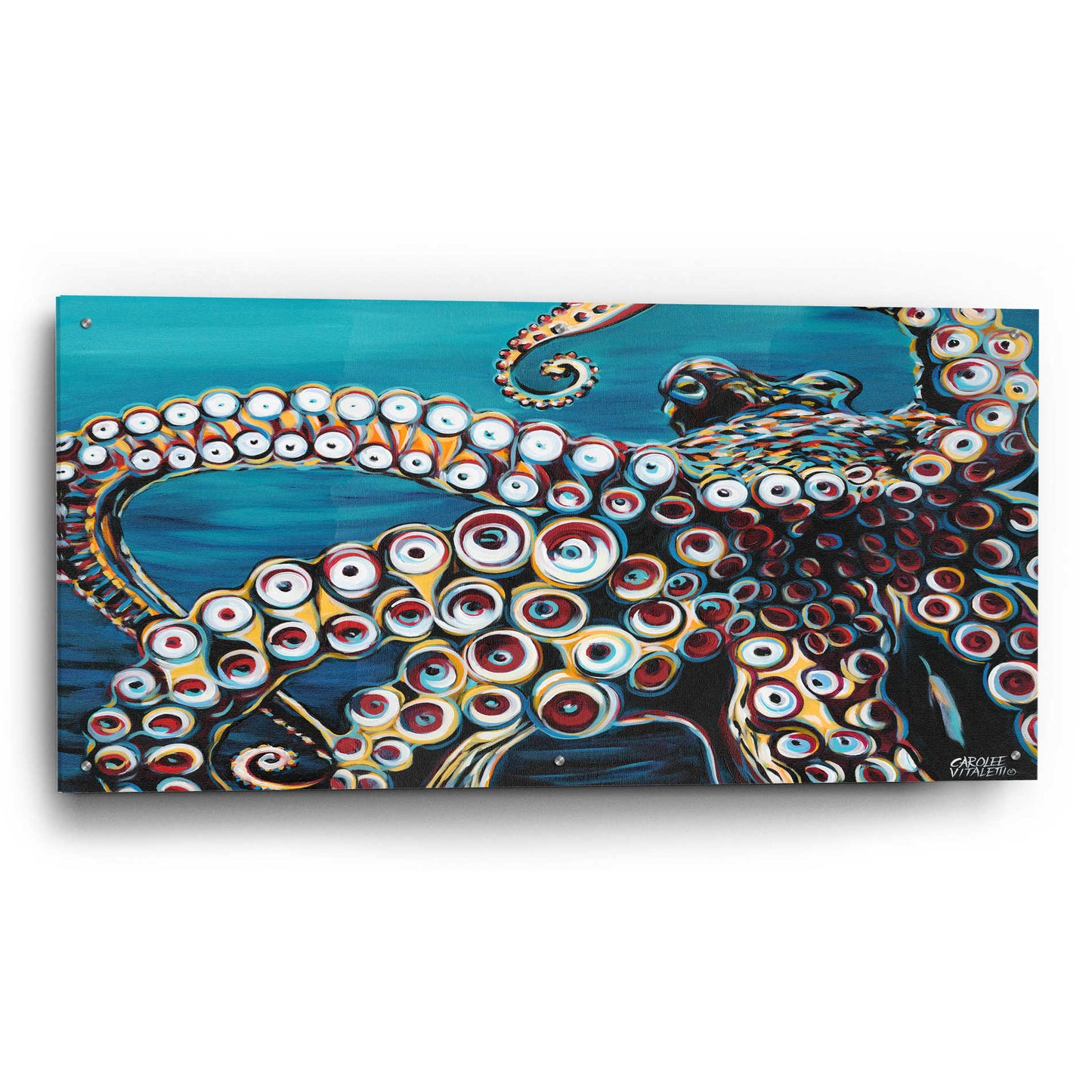 Epic Art 'Wild Octopus I' by Carolee Vitaletti, Acrylic Glass Wall Art,48x24