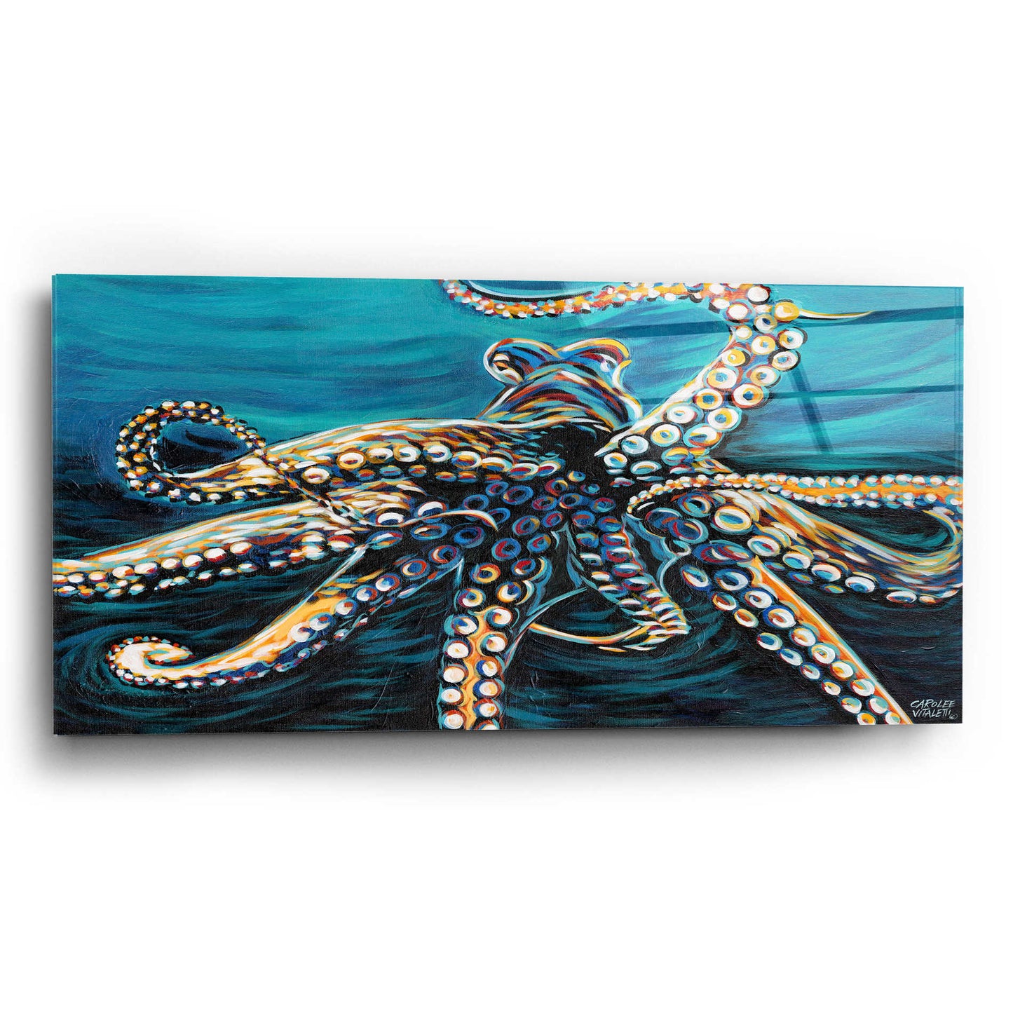 Epic Art 'Wild Octopus II' by Carolee Vitaletti, Acrylic Glass Wall Art,24x12