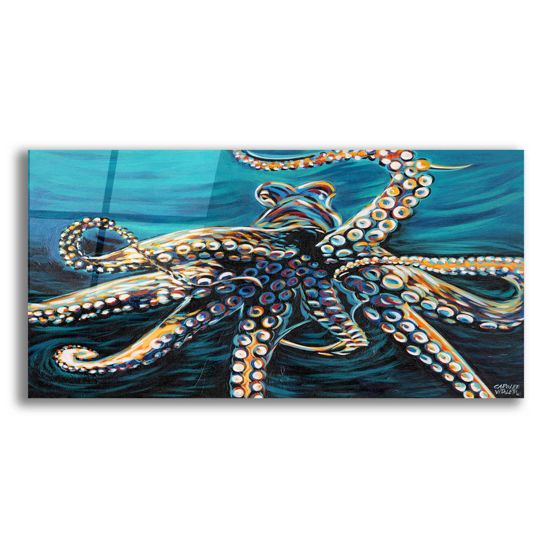 Epic Art 'Wild Octopus II' by Carolee Vitaletti, Acrylic Glass Wall Art,24x12