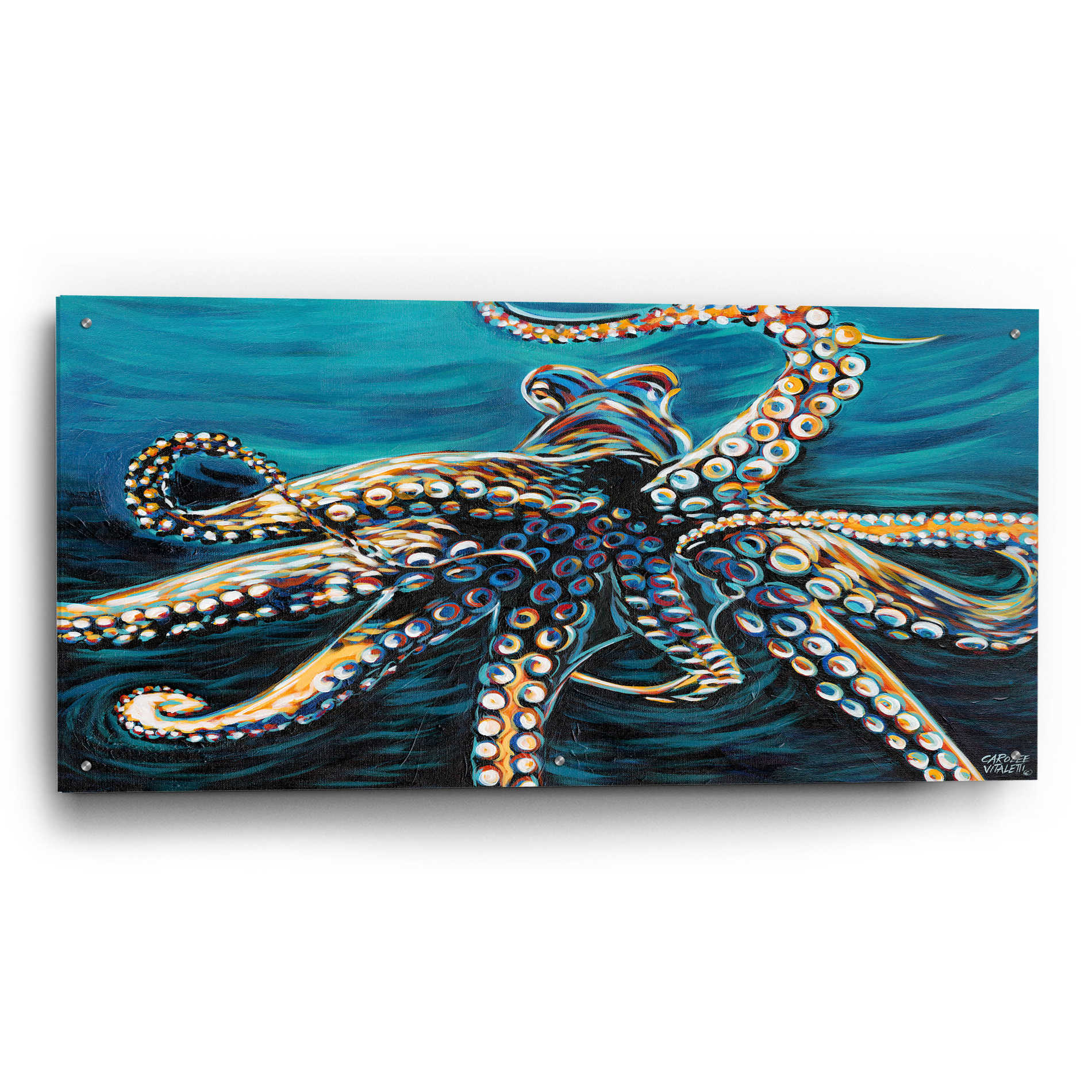 Epic Art 'Wild Octopus II' by Carolee Vitaletti, Acrylic Glass Wall Art,48x24