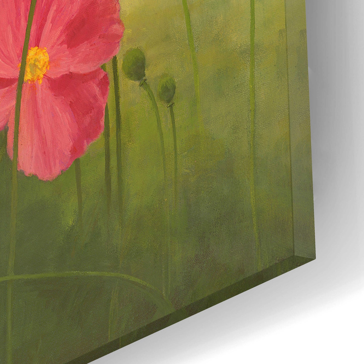 Epic Art 'Sunlit Poppies' by Janelle Kroner, Acrylic Glass Wall Art,16x12