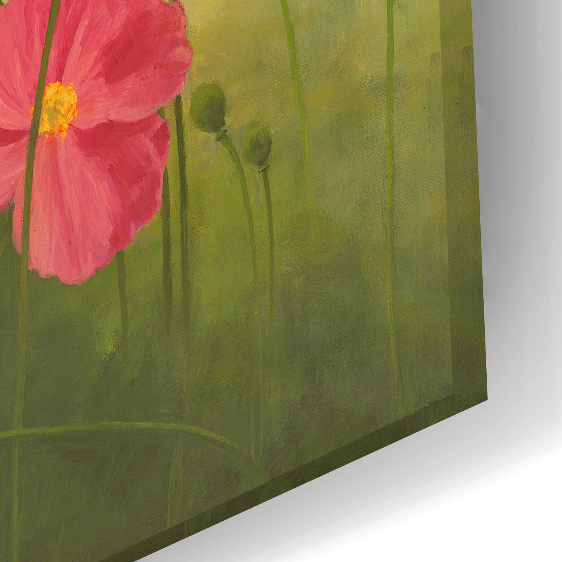 Epic Art 'Sunlit Poppies' by Janelle Kroner, Acrylic Glass Wall Art,24x16