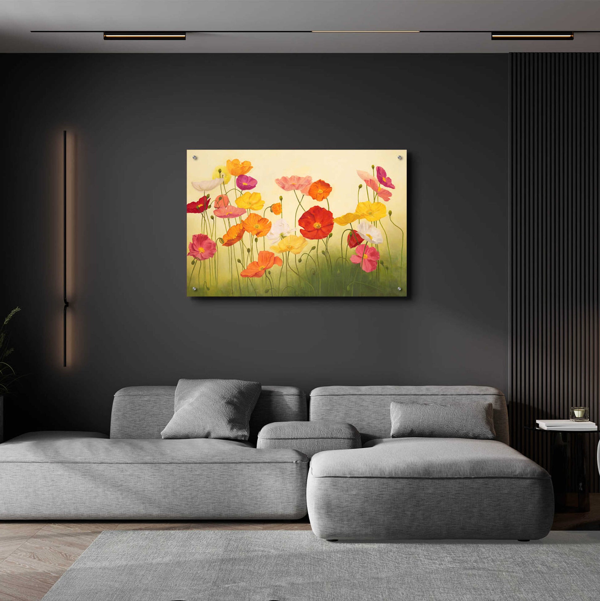 Epic Art 'Sunlit Poppies' by Janelle Kroner, Acrylic Glass Wall Art,36x24