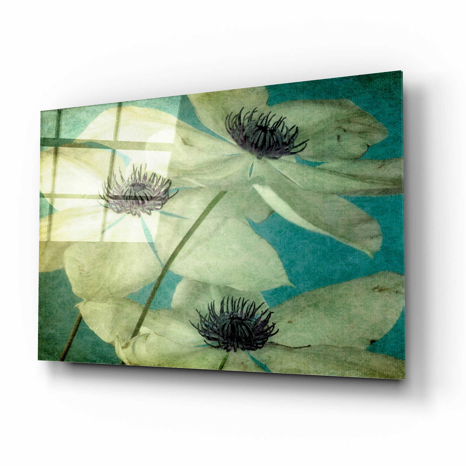 Epic Art 'Klema' by Dawn LeBlanc, Acrylic Glass Wall Art,16x12