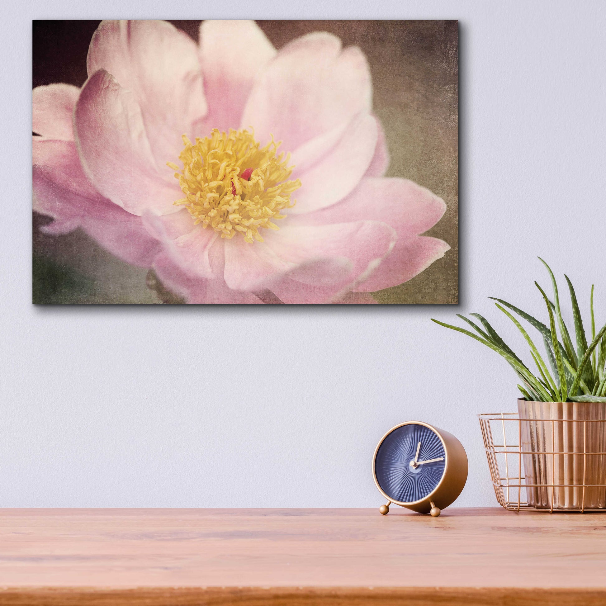 Epic Art 'Peony in the Park' by Dawn LeBlanc, Acrylic Glass Wall Art,16x12