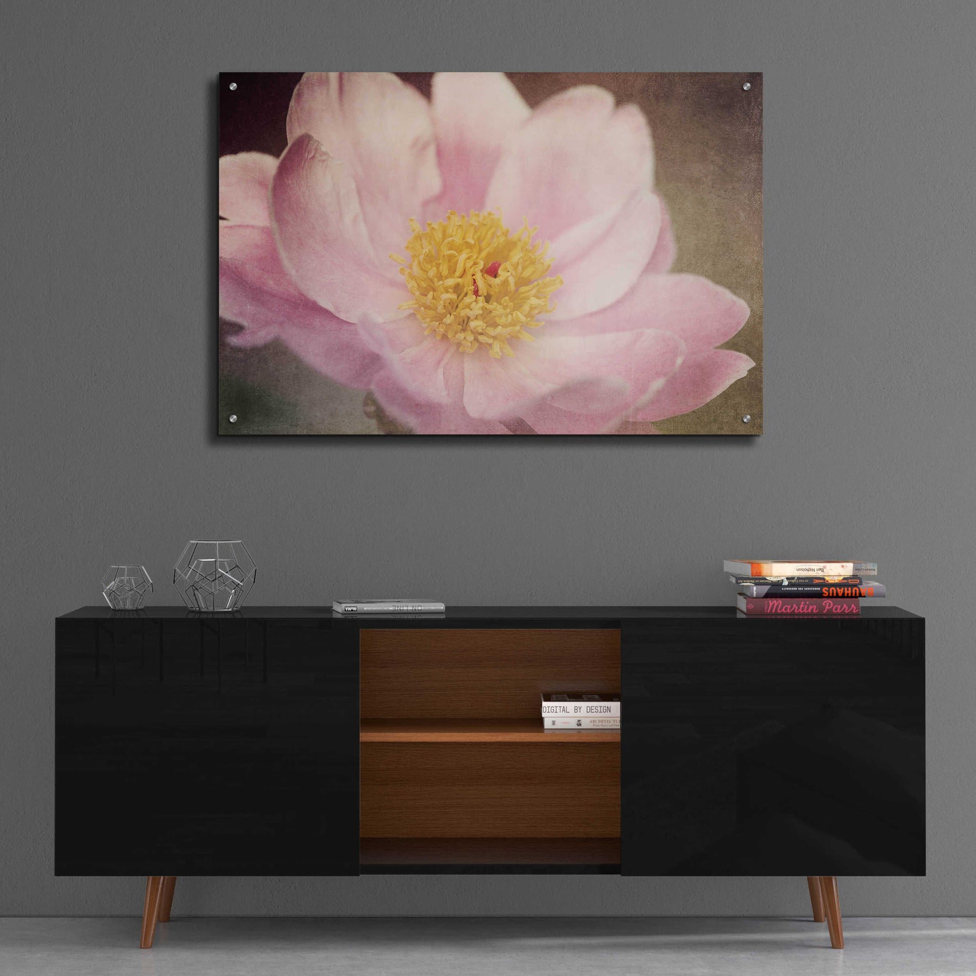 Epic Art 'Peony in the Park' by Dawn LeBlanc, Acrylic Glass Wall Art,36x24