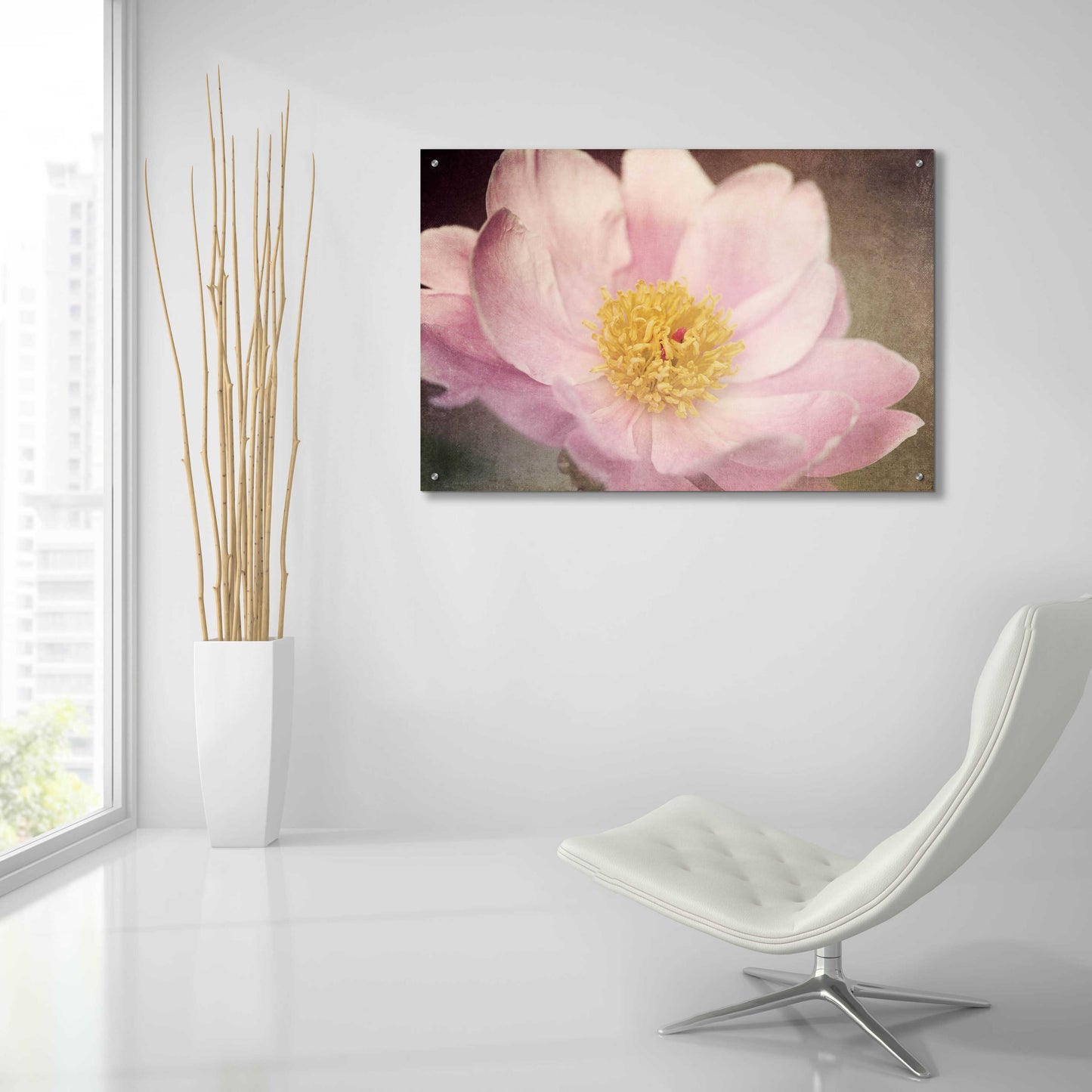 Epic Art 'Peony in the Park' by Dawn LeBlanc, Acrylic Glass Wall Art,36x24