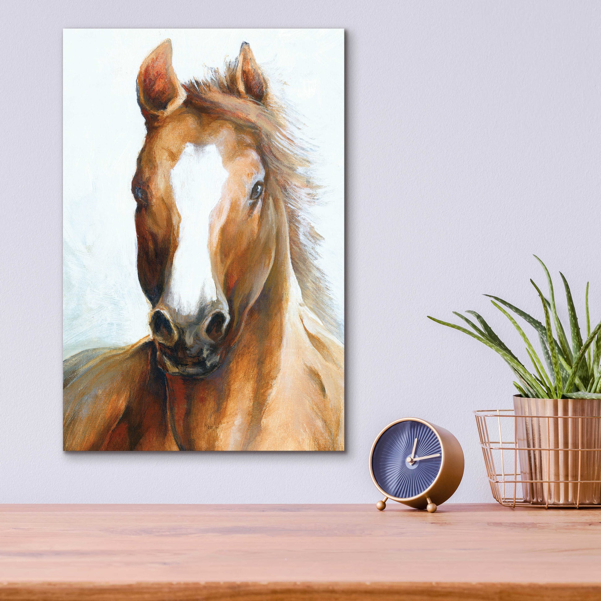 Epic Art 'Beauty Of The Horse' by White Ladder, Acrylic Glass Wall Art,12x16