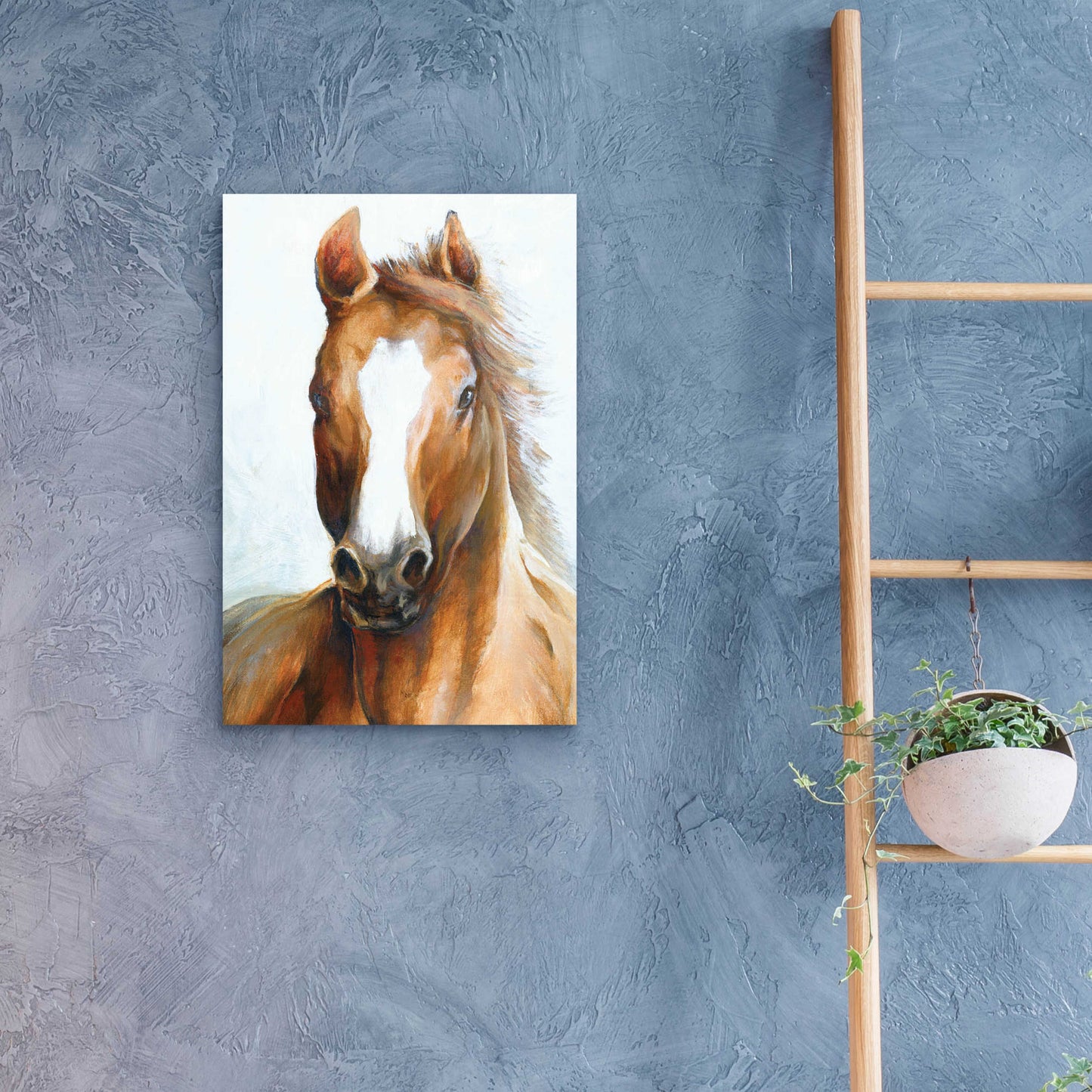 Epic Art 'Beauty Of The Horse' by White Ladder, Acrylic Glass Wall Art,16x24