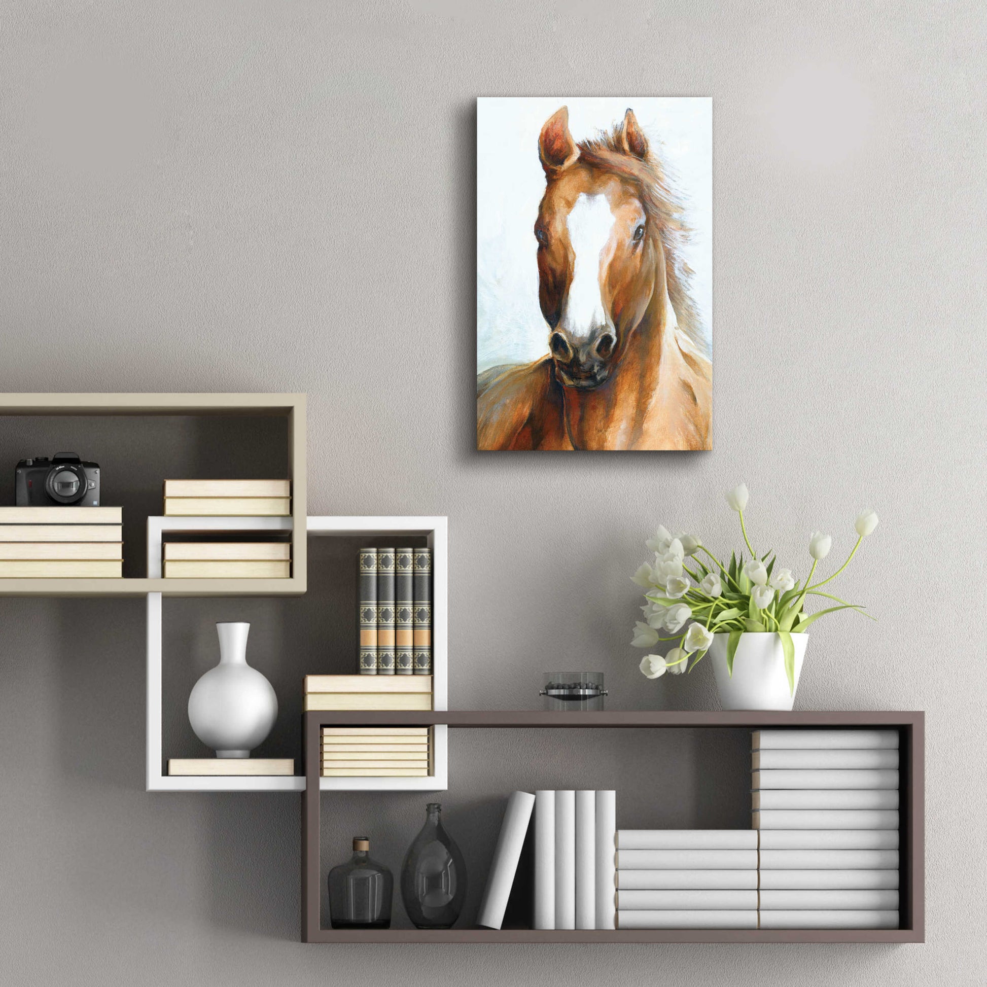 Epic Art 'Beauty Of The Horse' by White Ladder, Acrylic Glass Wall Art,16x24