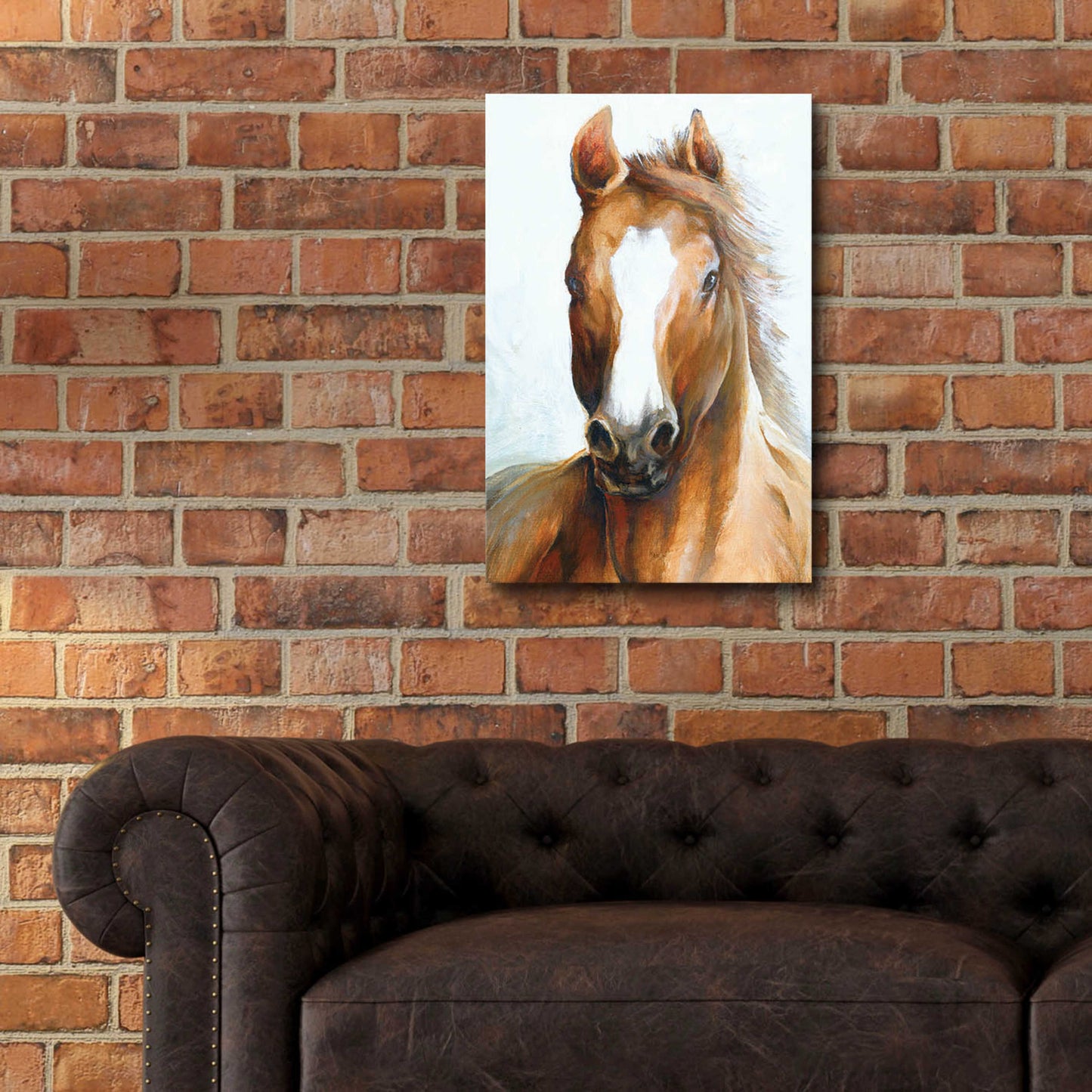 Epic Art 'Beauty Of The Horse' by White Ladder, Acrylic Glass Wall Art,16x24