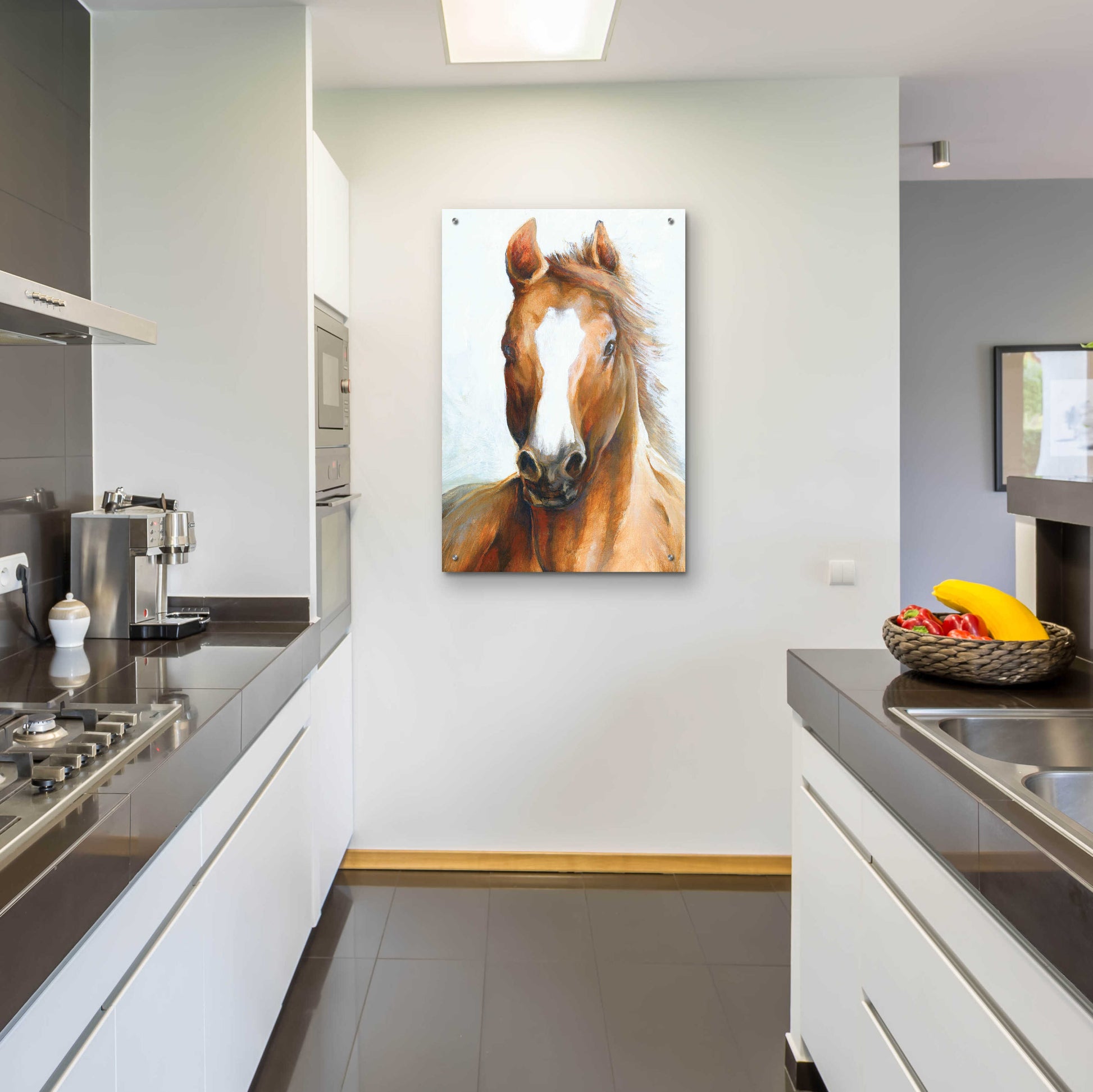 Epic Art 'Beauty Of The Horse' by White Ladder, Acrylic Glass Wall Art,24x36