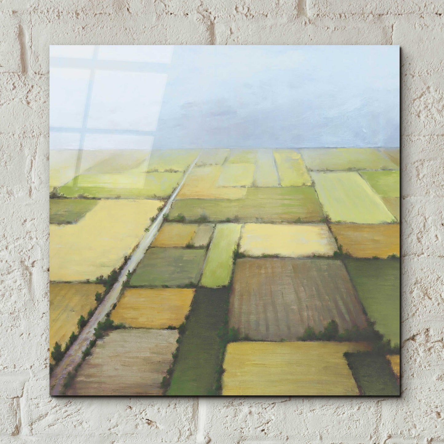 Epic Art 'Farmland From Above' by White Ladder, Acrylic Glass Wall Art,12x12