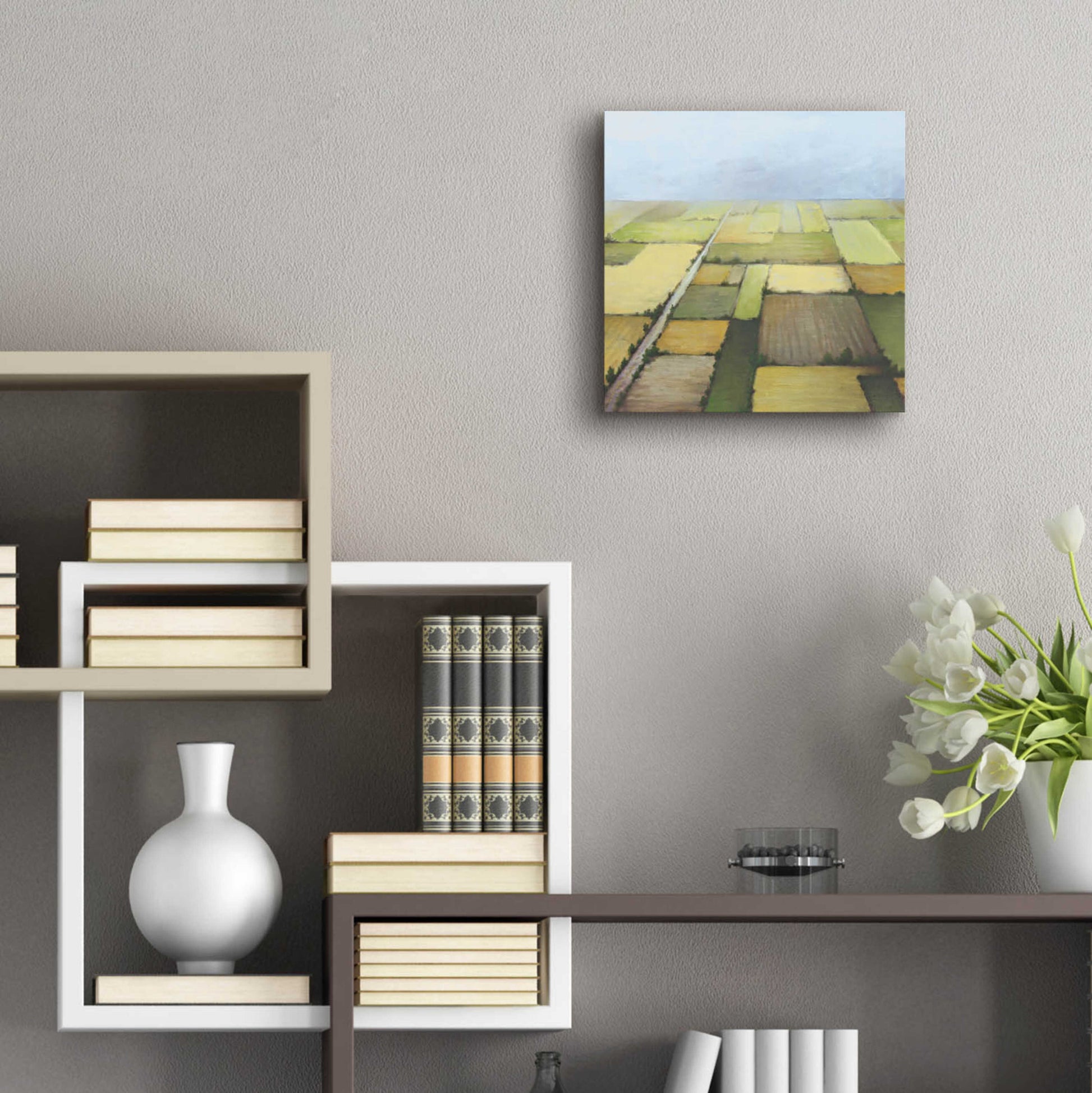 Epic Art 'Farmland From Above' by White Ladder, Acrylic Glass Wall Art,12x12