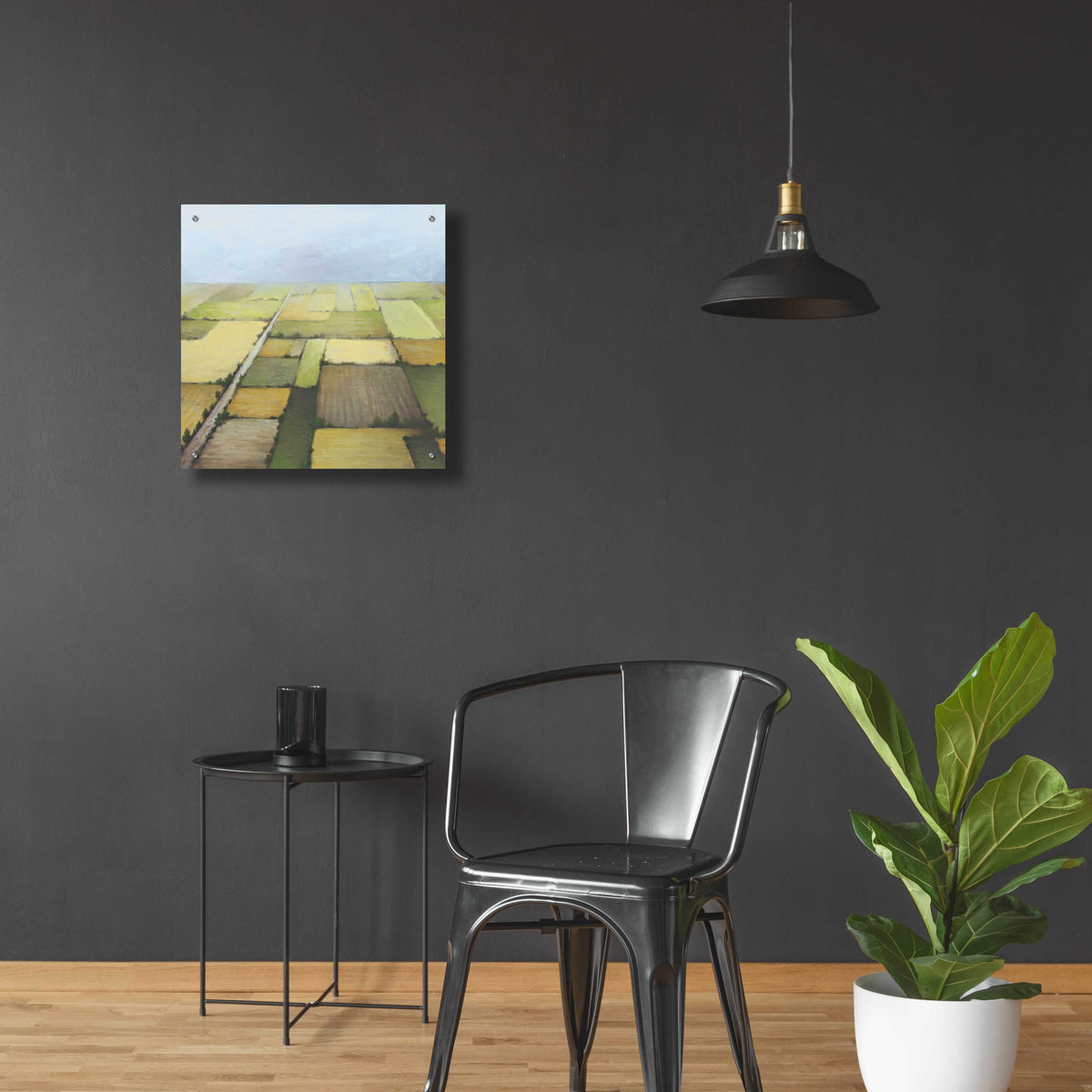 Epic Art 'Farmland From Above' by White Ladder, Acrylic Glass Wall Art,24x24
