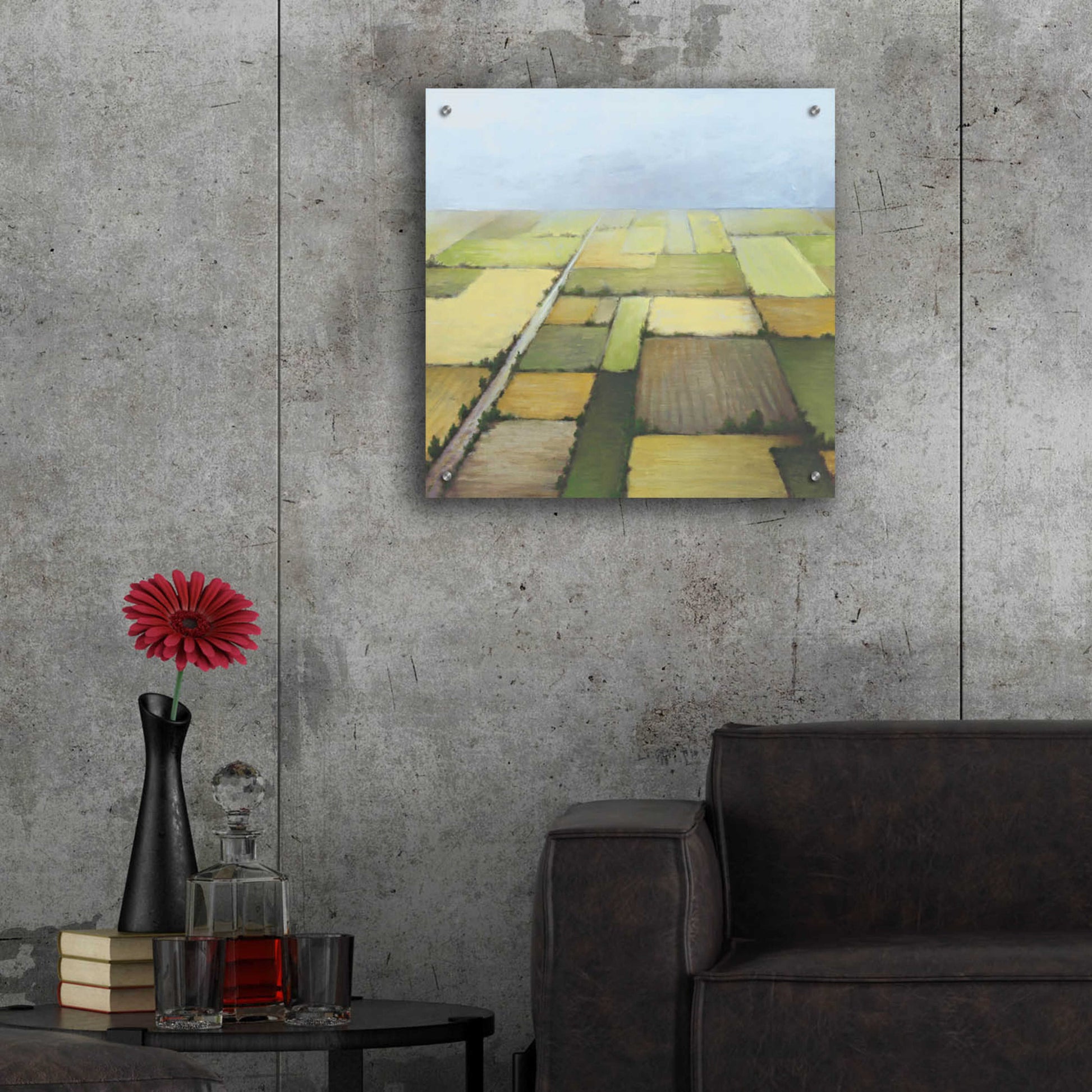 Epic Art 'Farmland From Above' by White Ladder, Acrylic Glass Wall Art,24x24