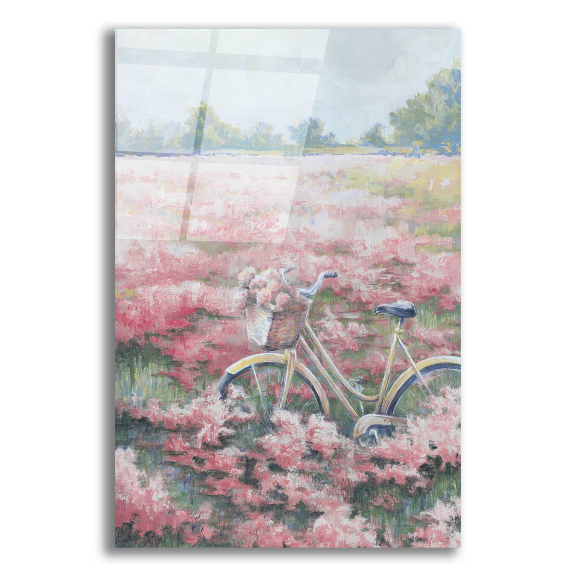 Epic Art 'Field Of Flowers' by White Ladder, Acrylic Glass Wall Art,12x16