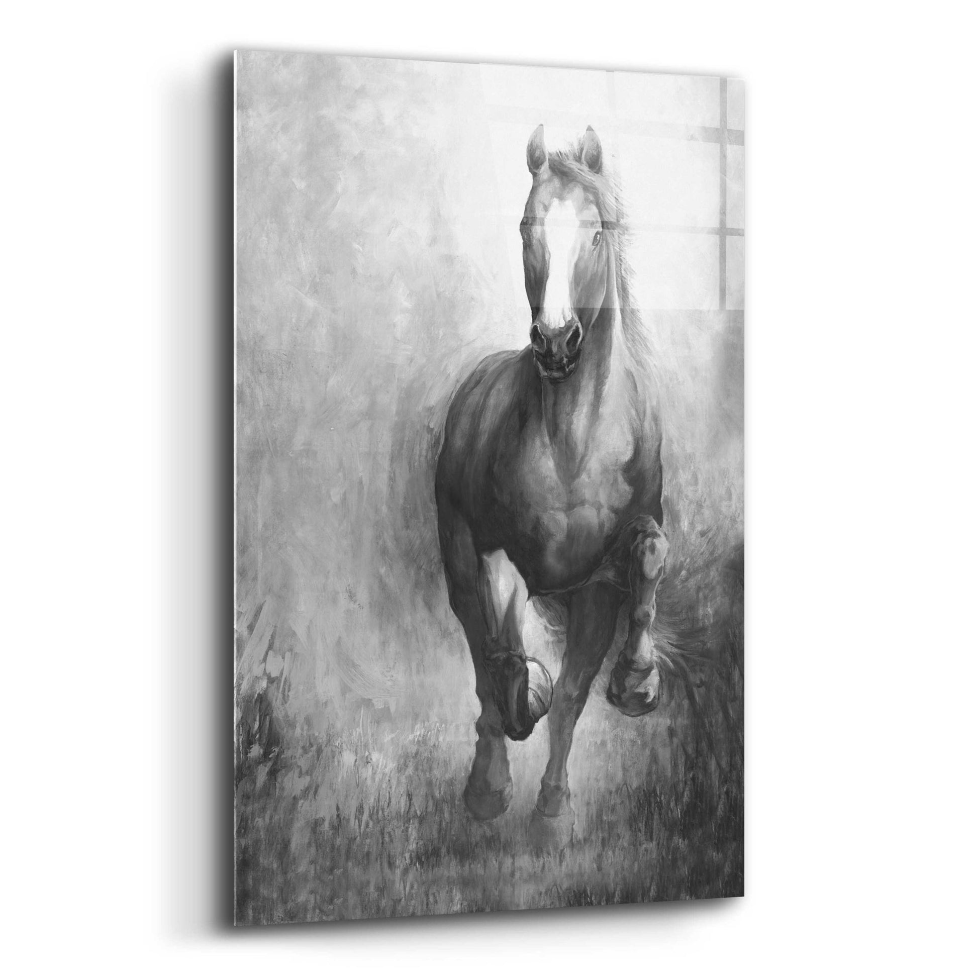 Epic Art 'Galloping Horse' by White Ladder, Acrylic Glass Wall Art,12x16