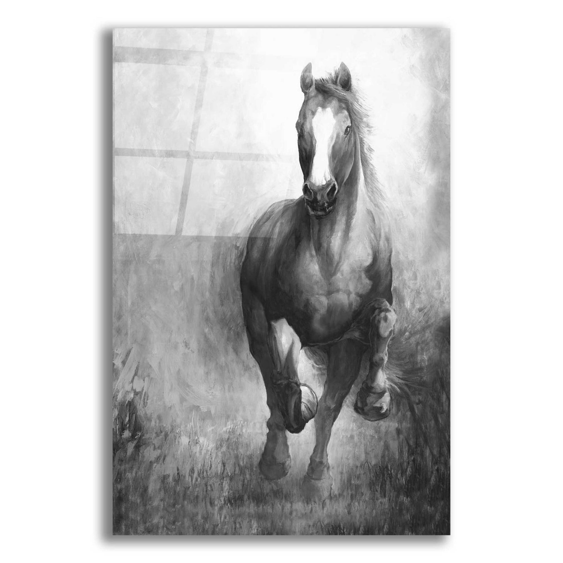 Epic Art 'Galloping Horse' by White Ladder, Acrylic Glass Wall Art,12x16