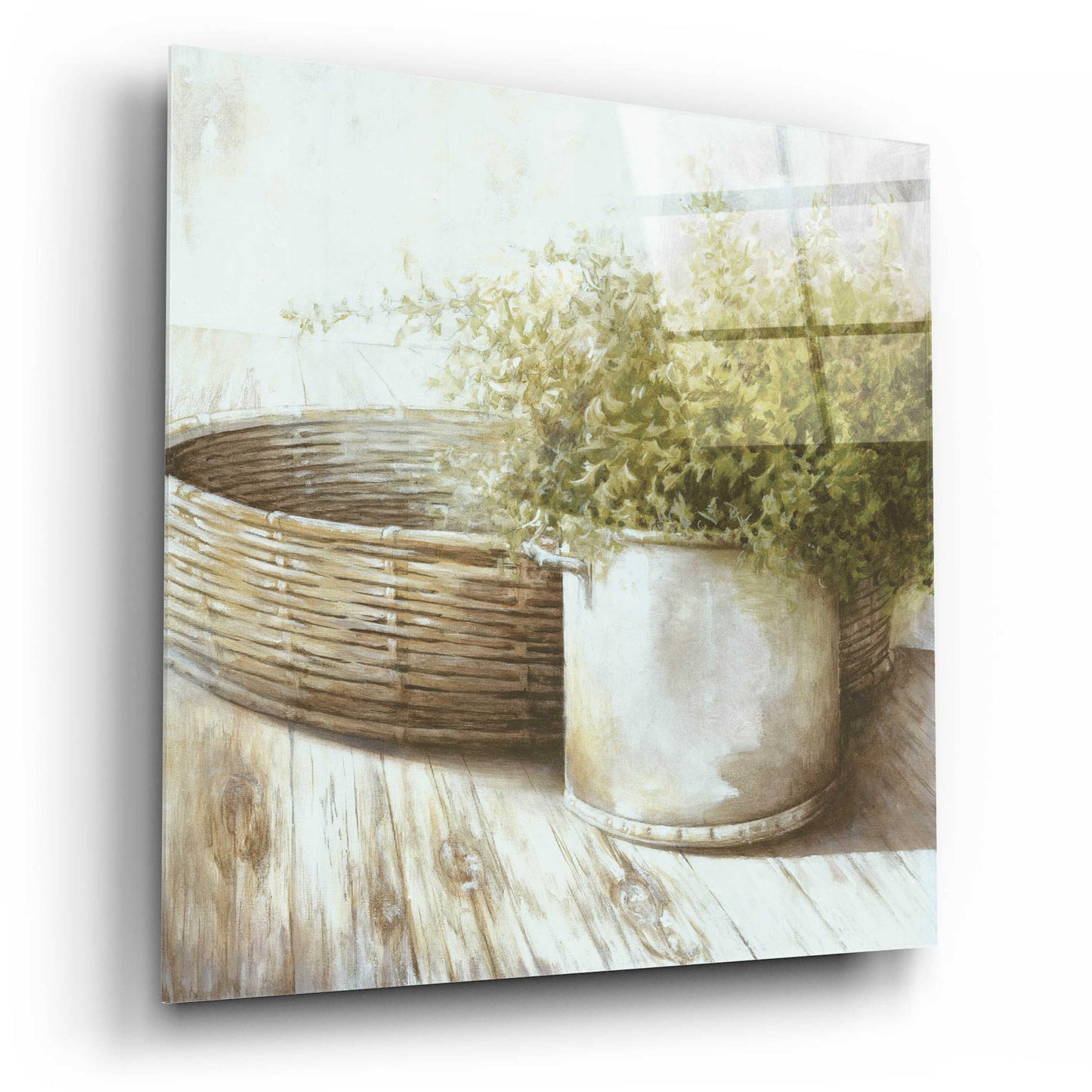 Epic Art 'Potted Plant And Basket' by White Ladder, Acrylic Glass Wall Art,12x12