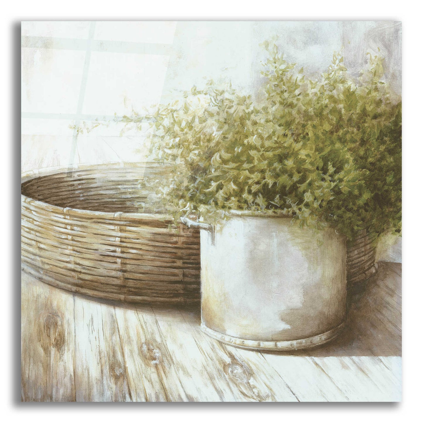 Epic Art 'Potted Plant And Basket' by White Ladder, Acrylic Glass Wall Art,12x12