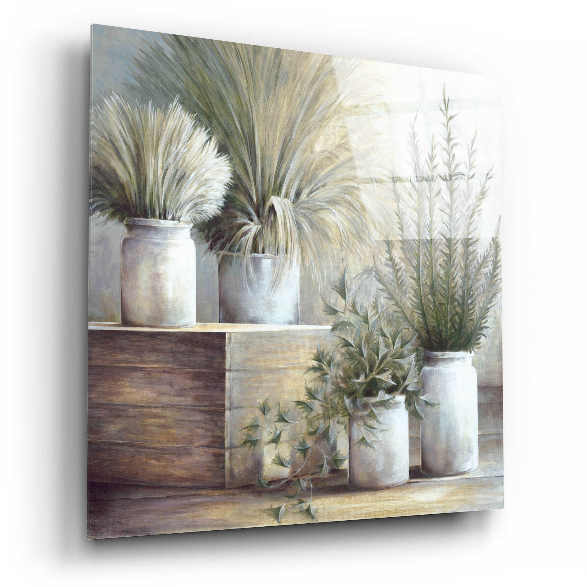 Epic Art 'Pretty Plants On Display' by White Ladder, Acrylic Glass Wall Art,12x12