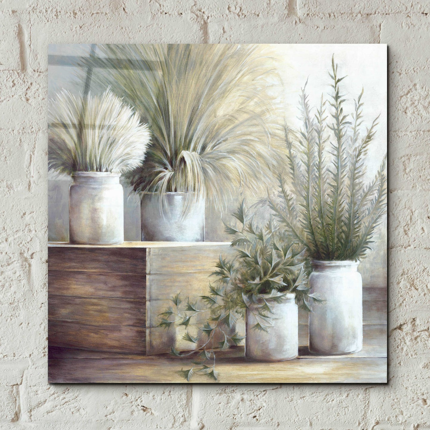 Epic Art 'Pretty Plants On Display' by White Ladder, Acrylic Glass Wall Art,12x12