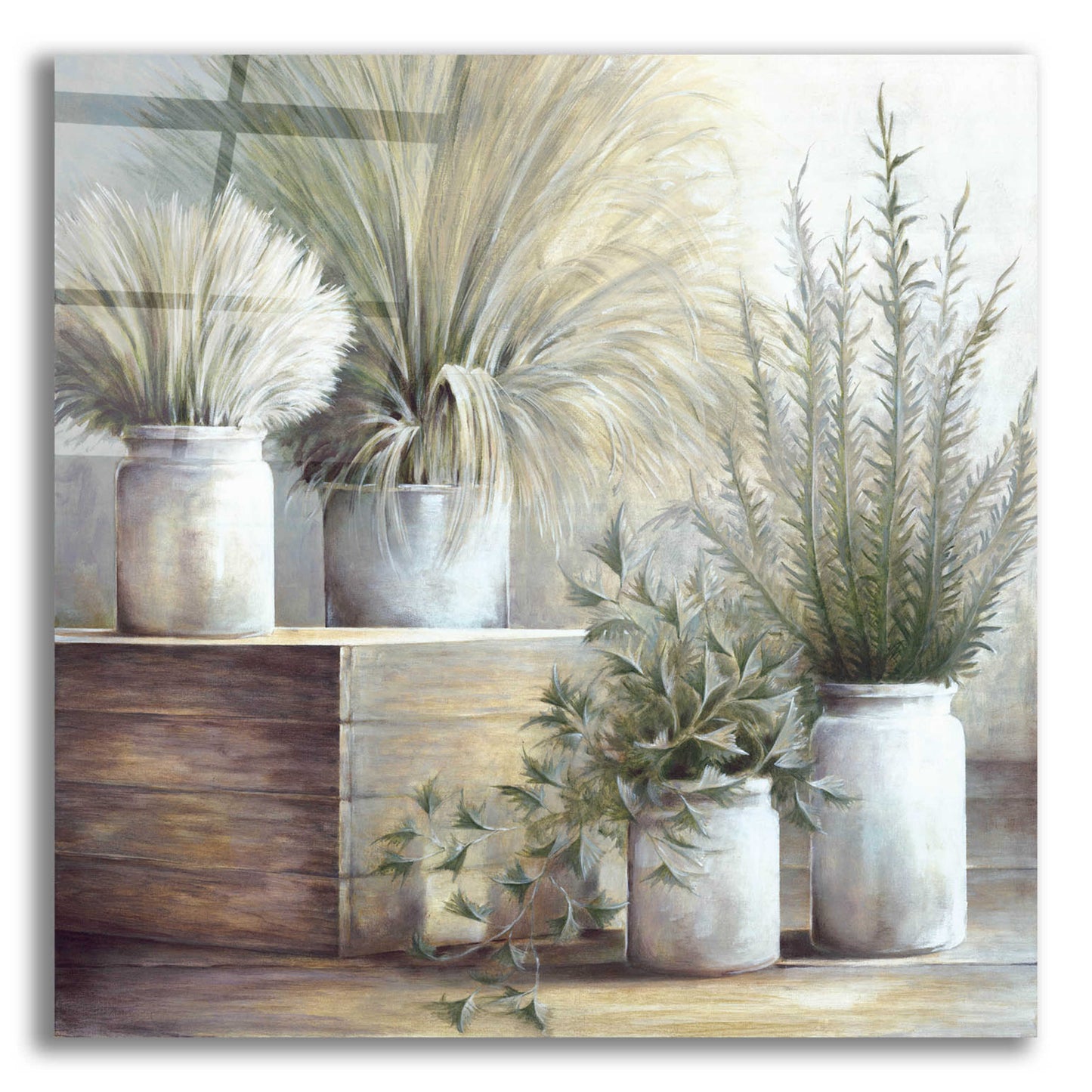 Epic Art 'Pretty Plants On Display' by White Ladder, Acrylic Glass Wall Art,12x12