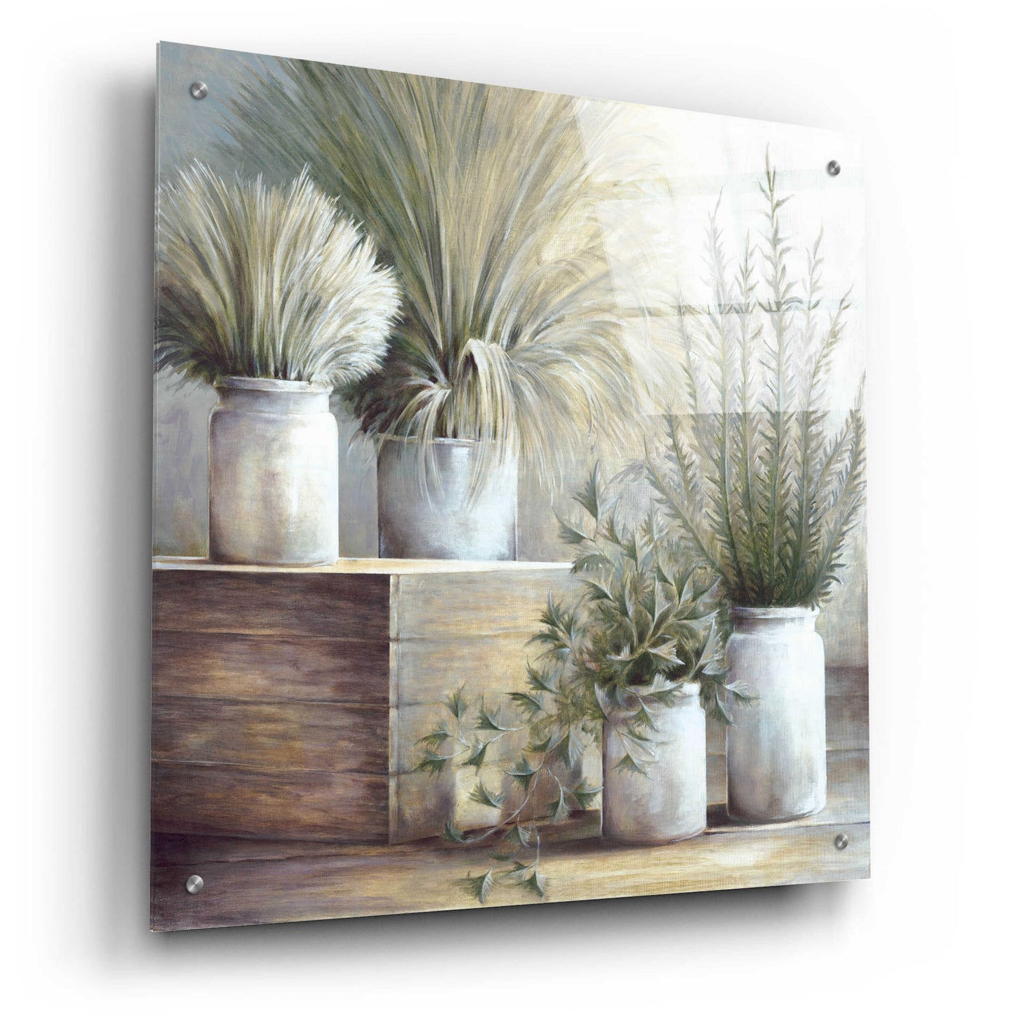 Epic Art 'Pretty Plants On Display' by White Ladder, Acrylic Glass Wall Art,24x24