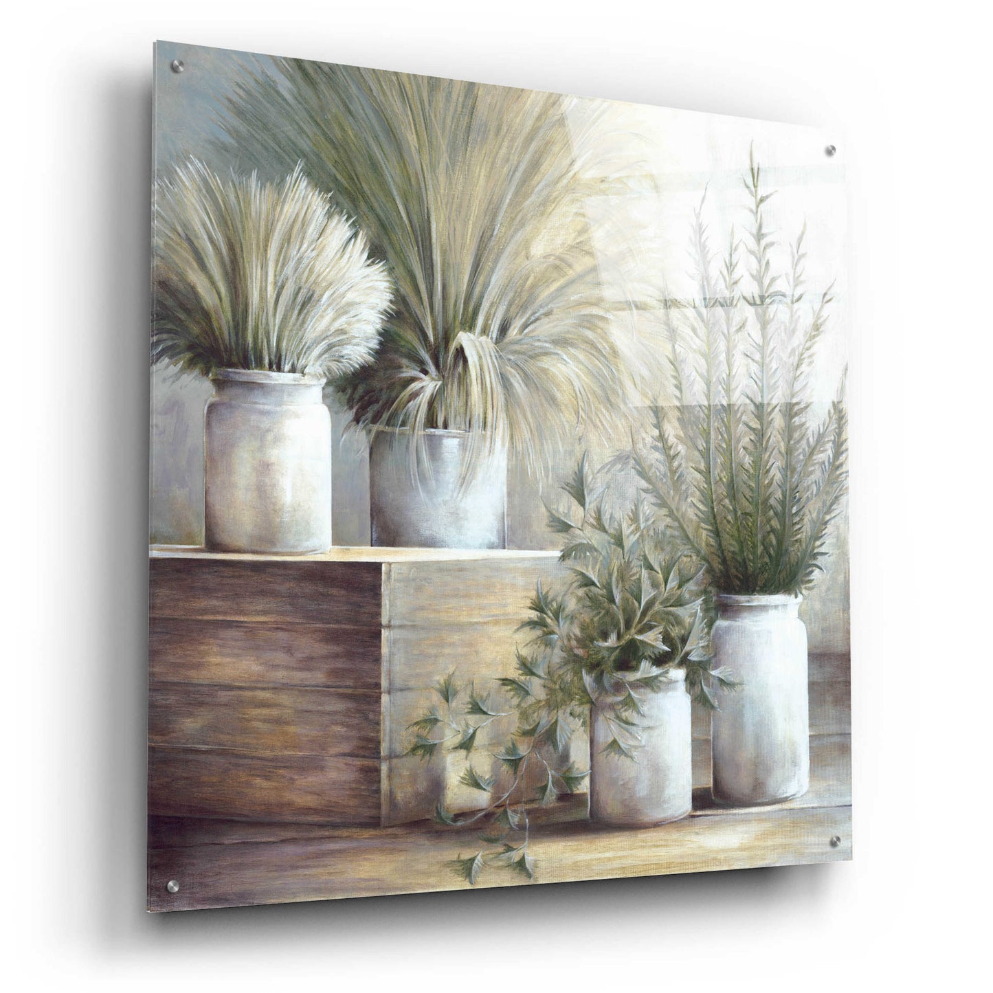 Epic Art 'Pretty Plants On Display' by White Ladder, Acrylic Glass Wall Art,36x36