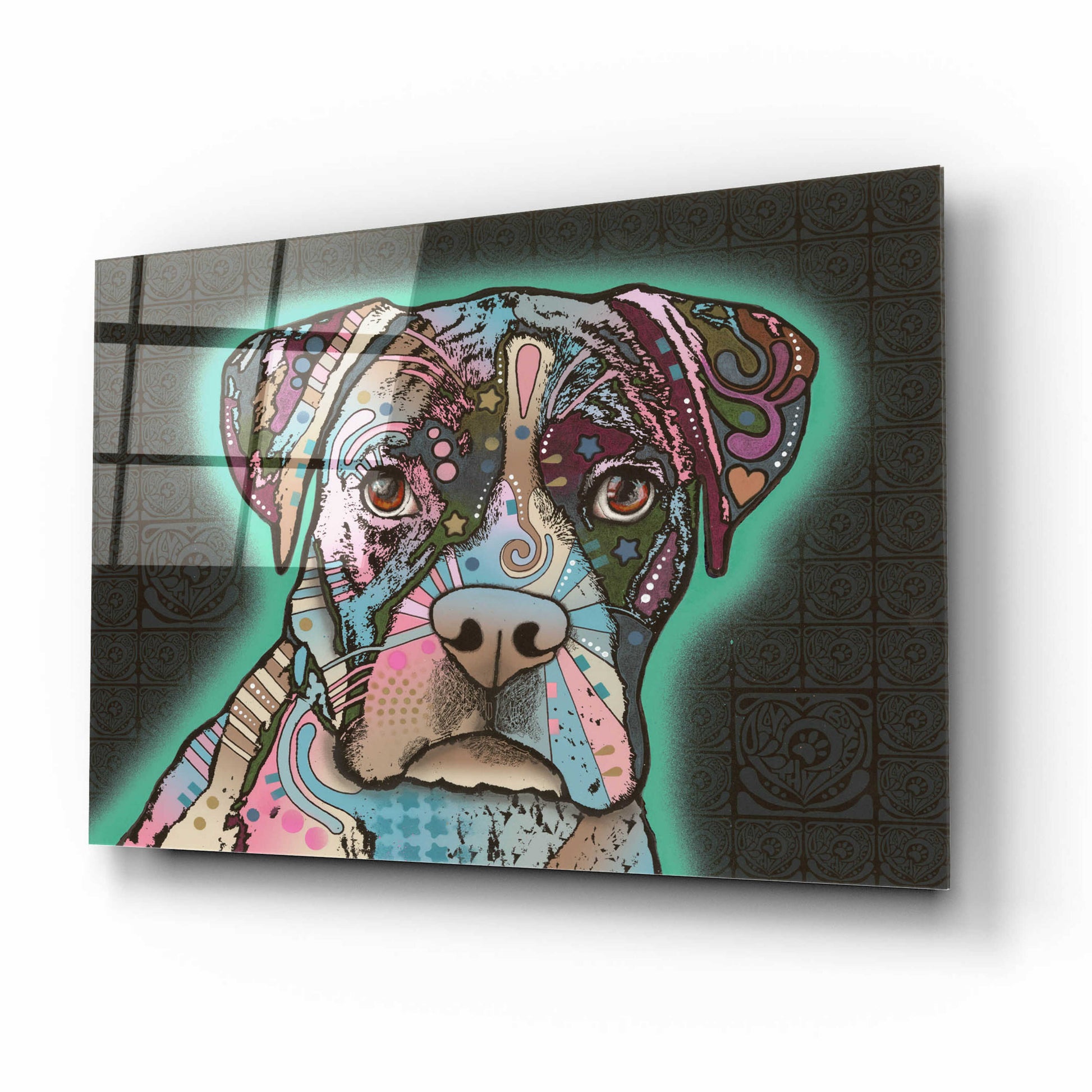 Epic Art 'Love Thy Boxer' by Dean Russo, Acrylic Glass Wall Art,16x12