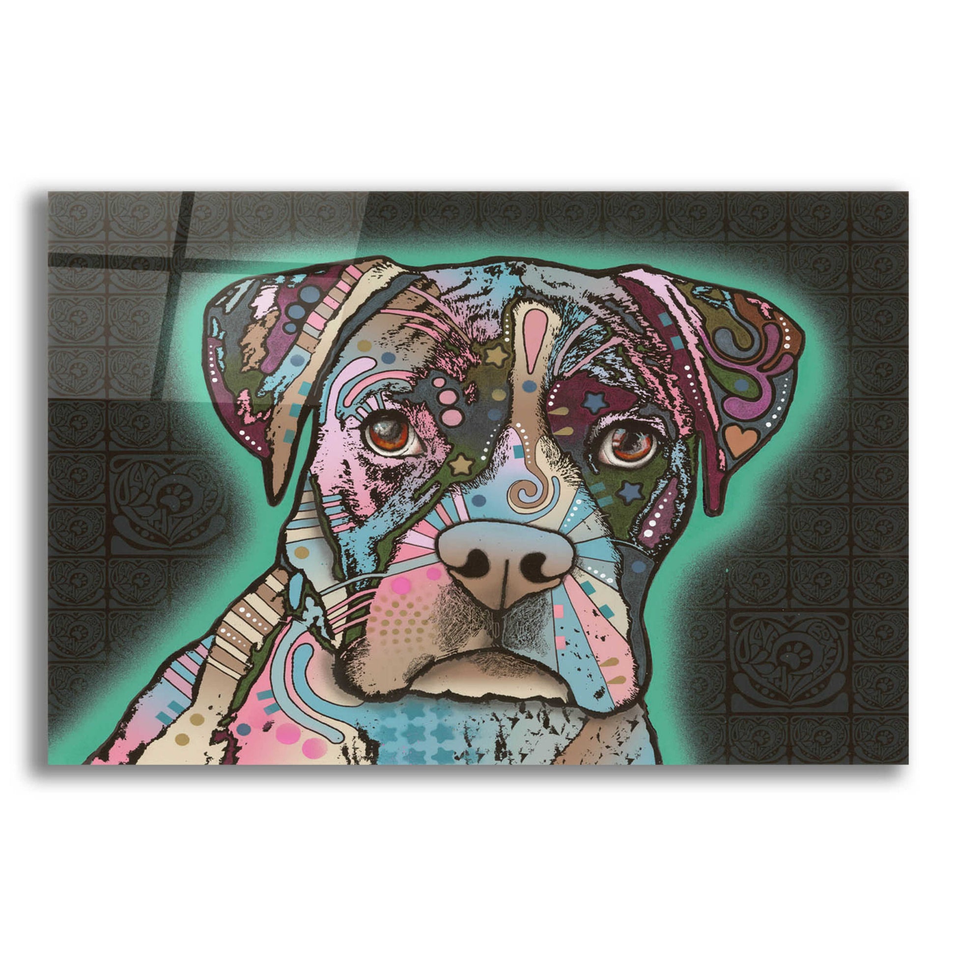 Epic Art 'Love Thy Boxer' by Dean Russo, Acrylic Glass Wall Art,16x12