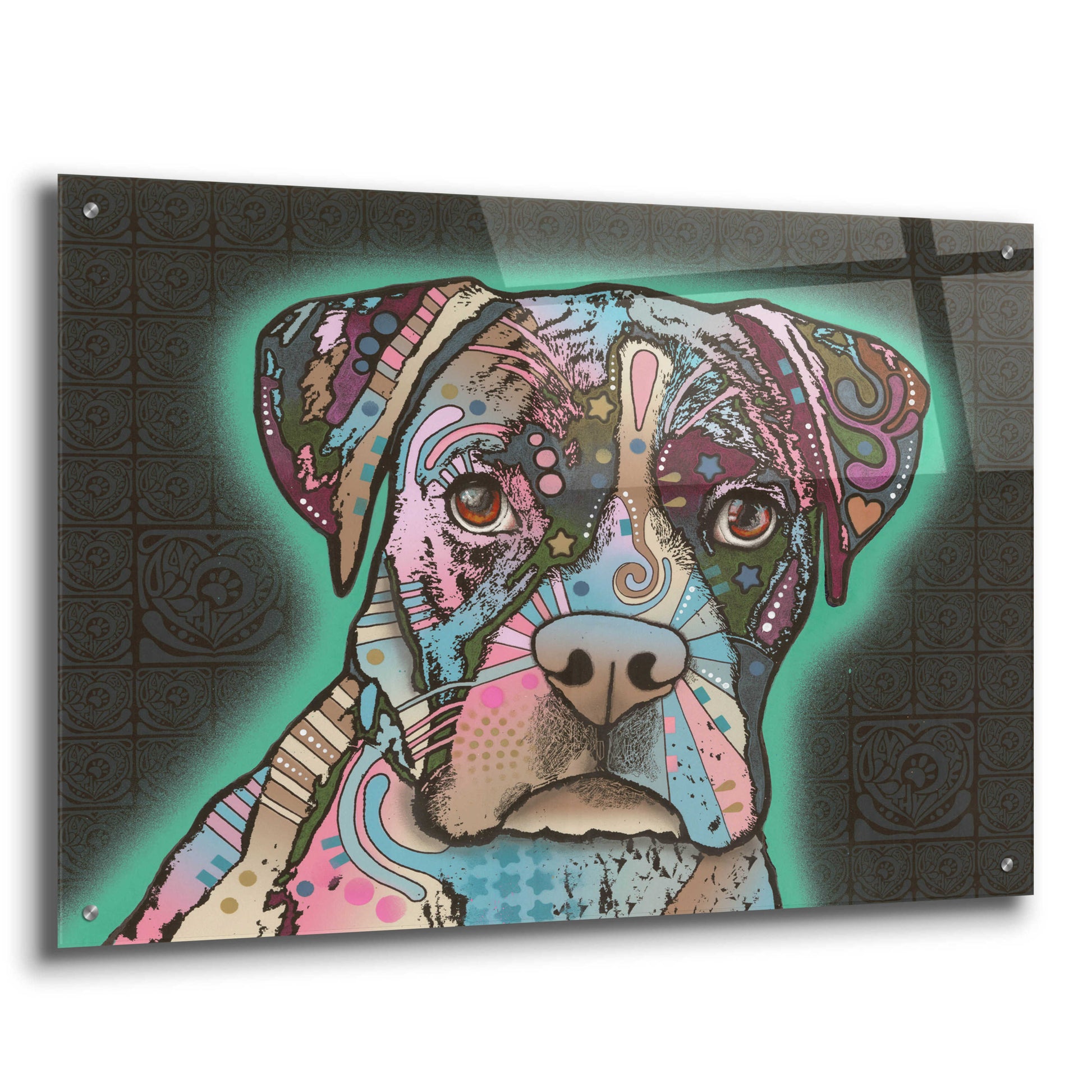 Epic Art 'Love Thy Boxer' by Dean Russo, Acrylic Glass Wall Art,36x24