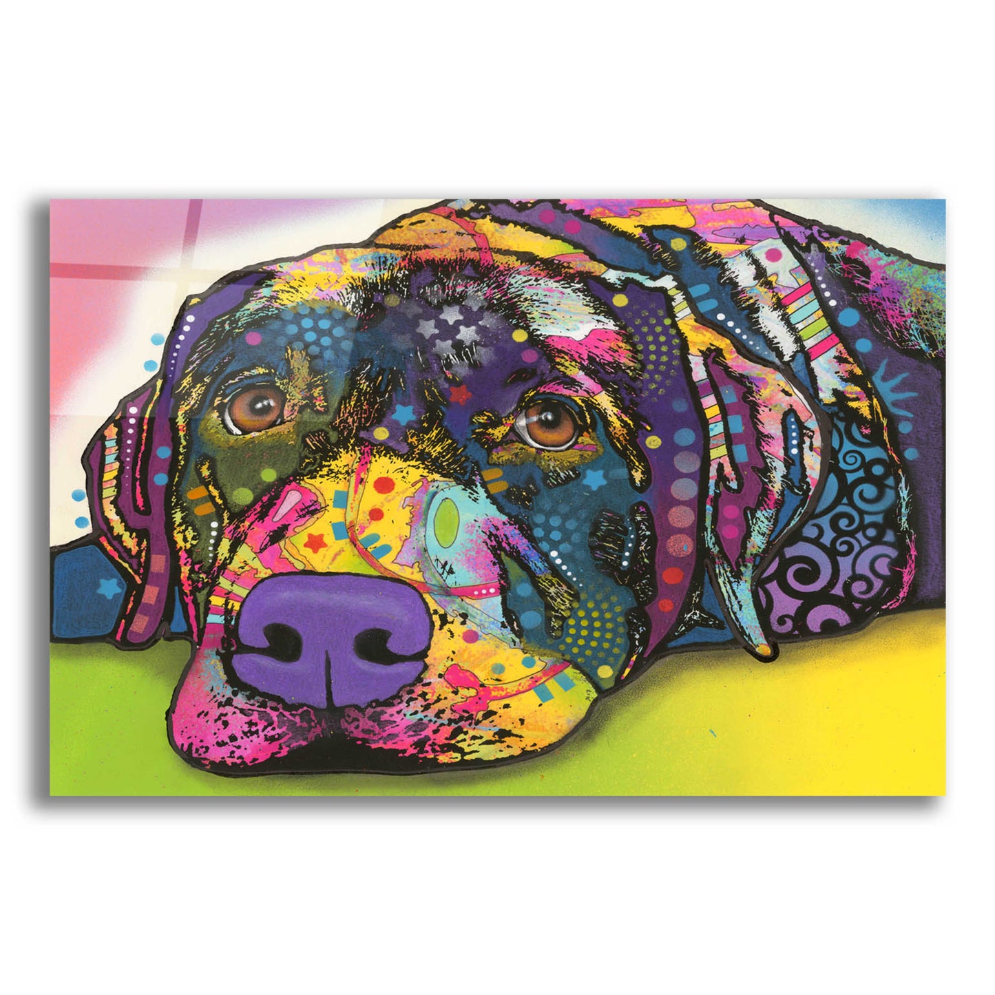 Epic Art 'Savvy Labrador' by Dean Russo, Acrylic Glass Wall Art,16x12