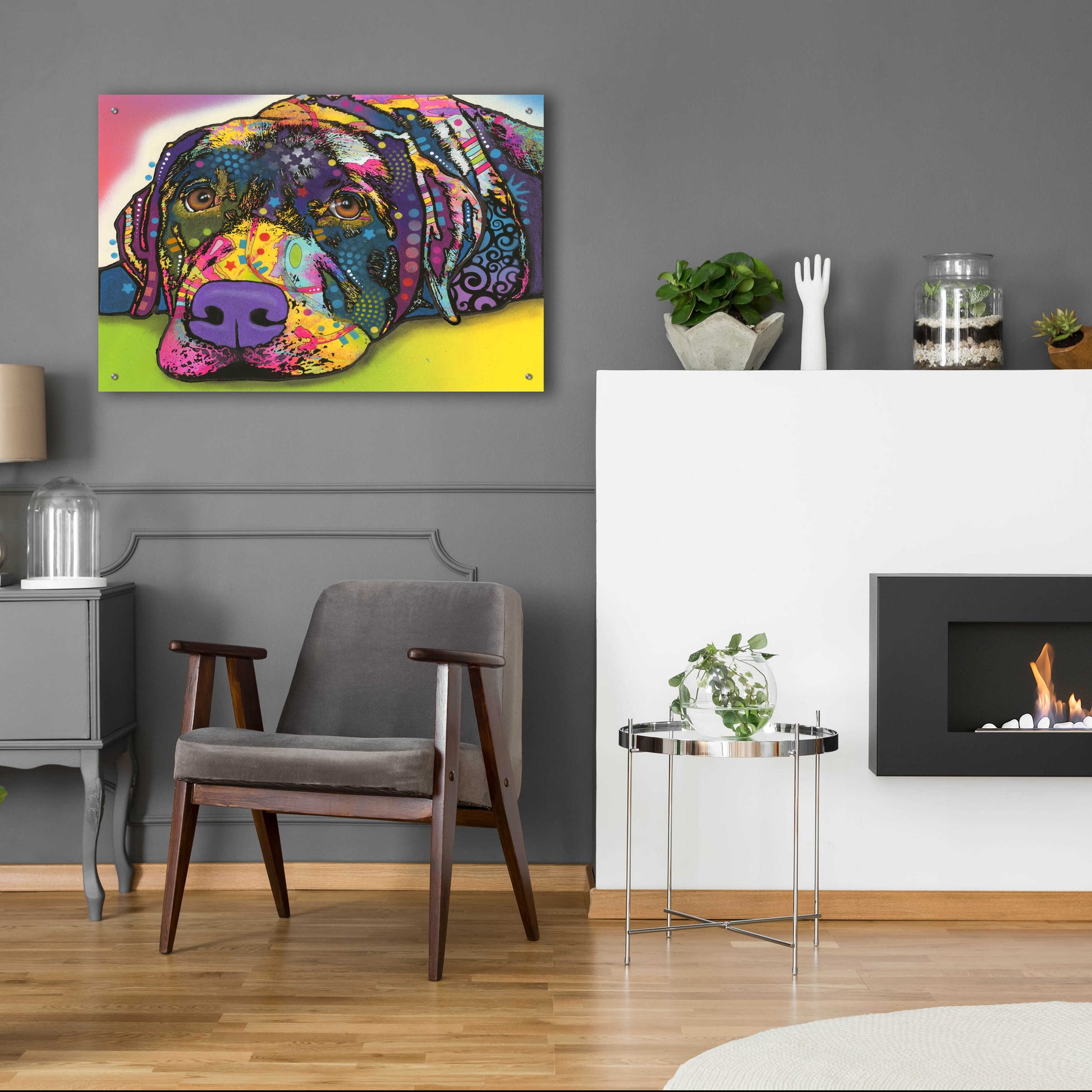 Epic Art 'Savvy Labrador' by Dean Russo, Acrylic Glass Wall Art,36x24