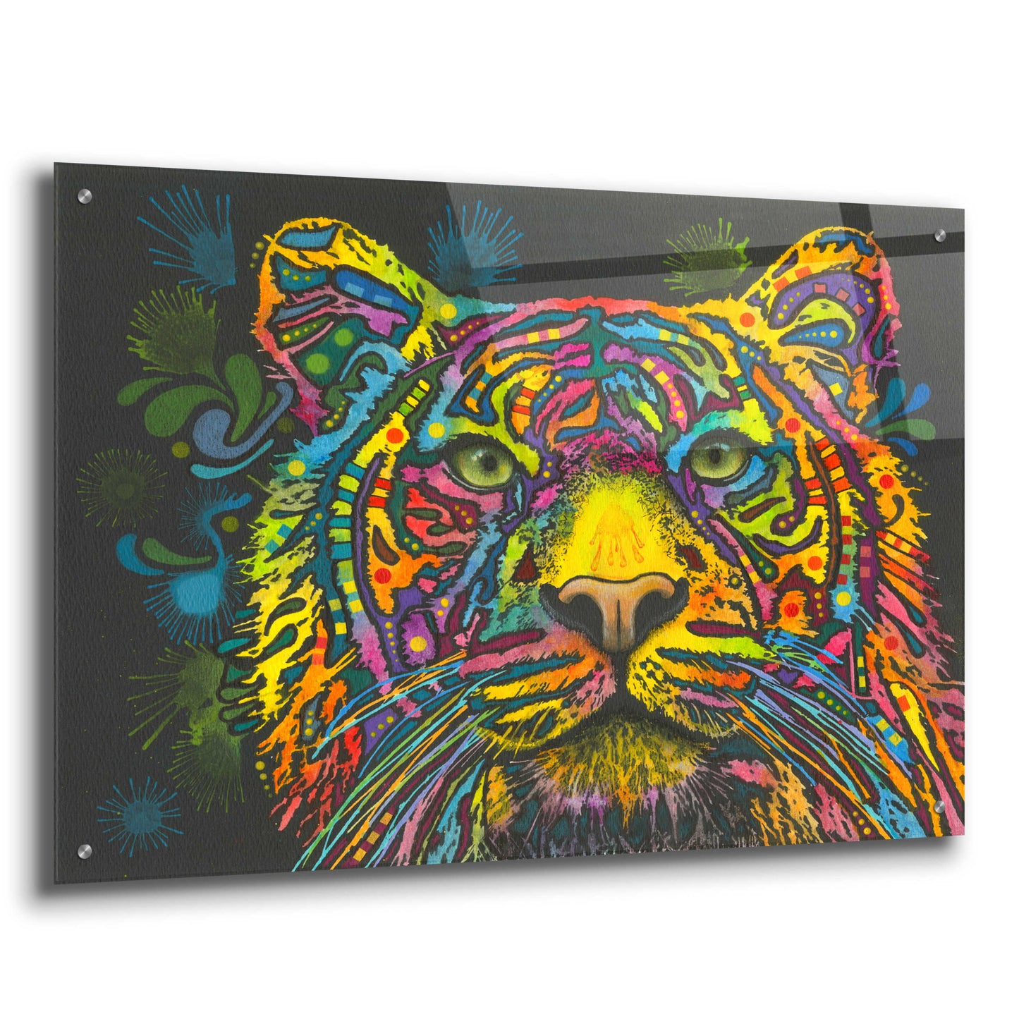 Epic Art 'Tiger' by Dean Russo, Acrylic Glass Wall Art,36x24