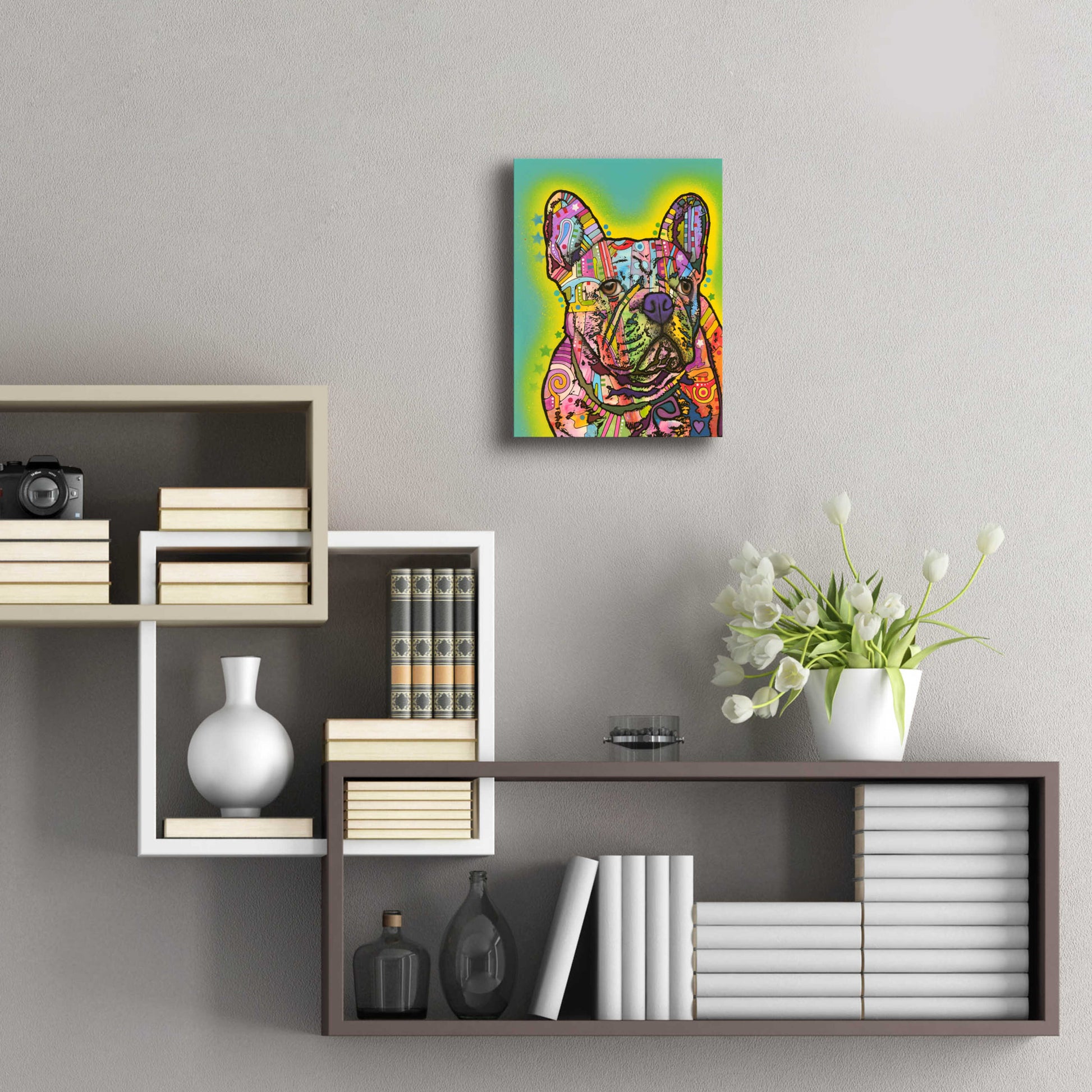 Epic Art 'French Bulldog III' by Dean Russo, Acrylic Glass Wall Art,12x16