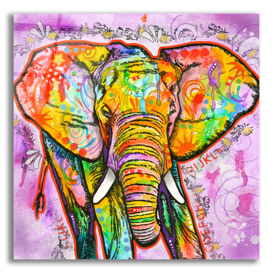 Epic Art 'Elephant' by Dean Russo, Acrylic Glass Wall Art