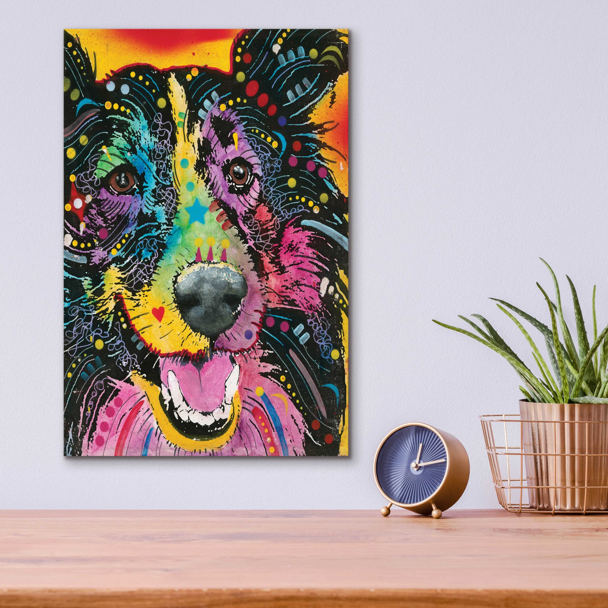 Epic Art 'Smiling Collie ' by Dean Russo, Acrylic Glass Wall Art,12x16