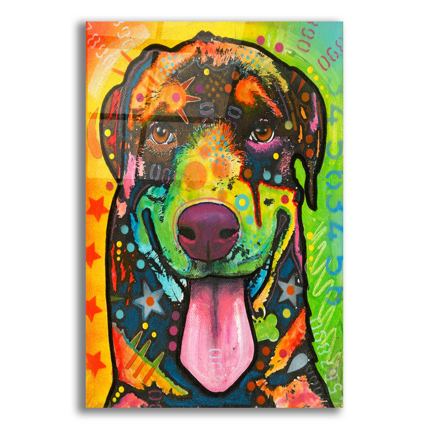 Epic Art 'Rottie Pup' by Dean Russo, Acrylic Glass Wall Art,12x16