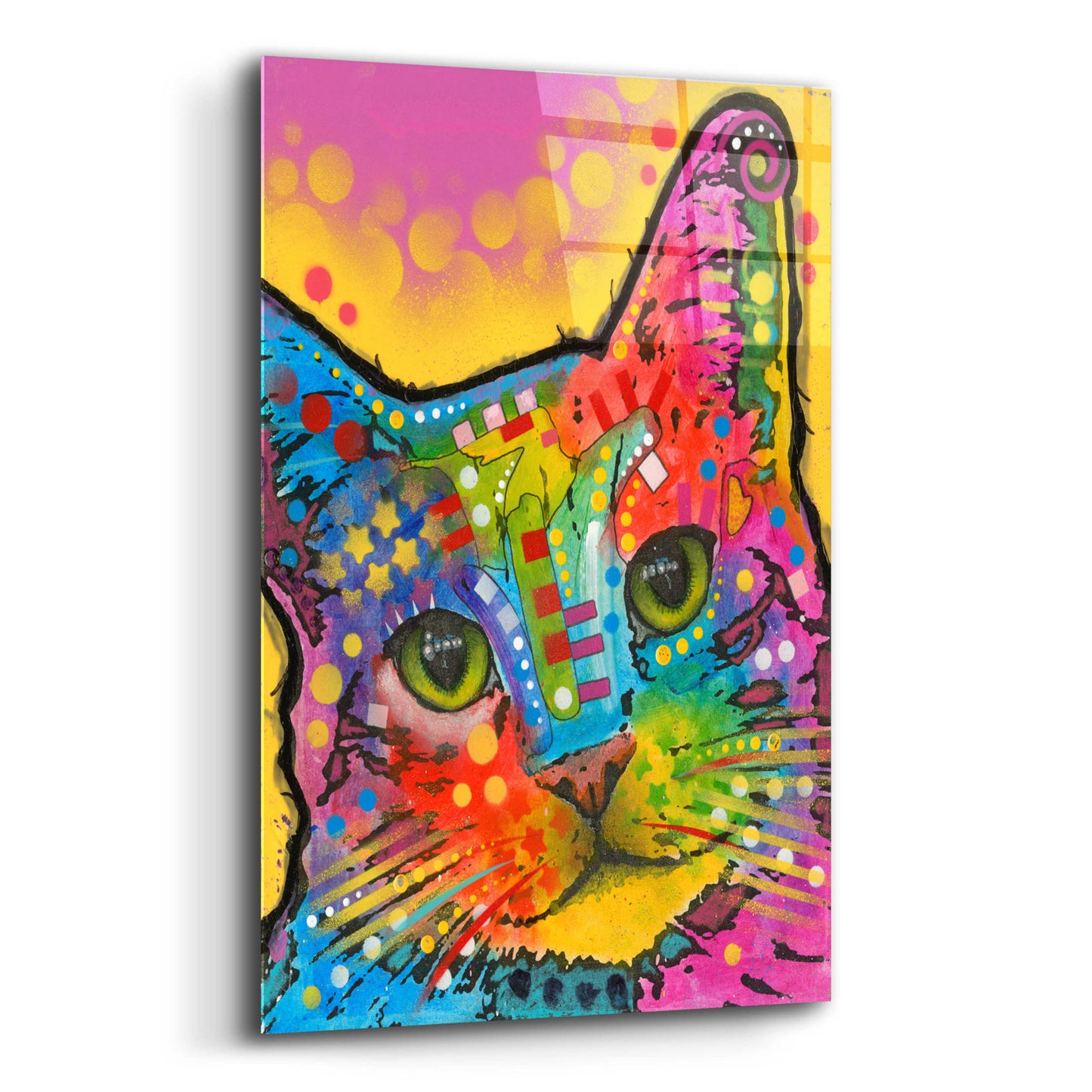 Epic Art 'Tilt Cat' by Dean Russo, Acrylic Glass Wall Art,12x16