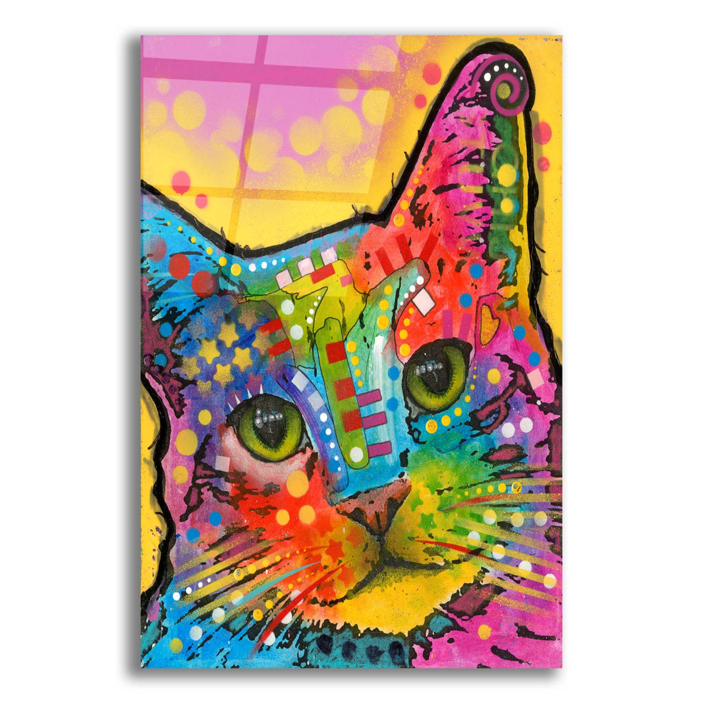 Epic Art 'Tilt Cat' by Dean Russo, Acrylic Glass Wall Art,12x16