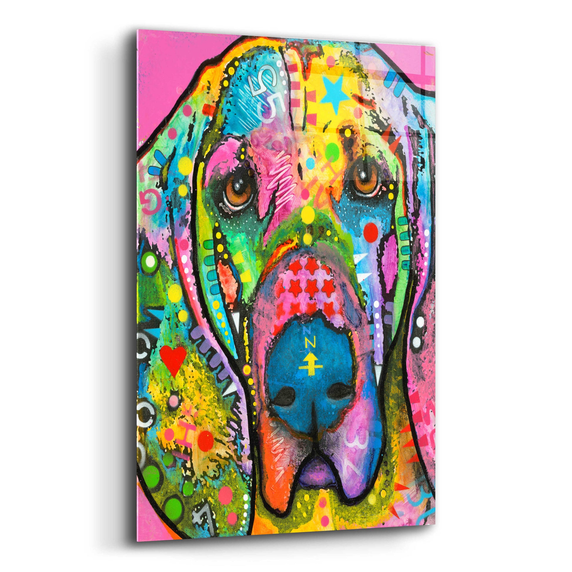 Epic Art 'Bloodhound' by Dean Russo, Acrylic Glass Wall Art,12x16