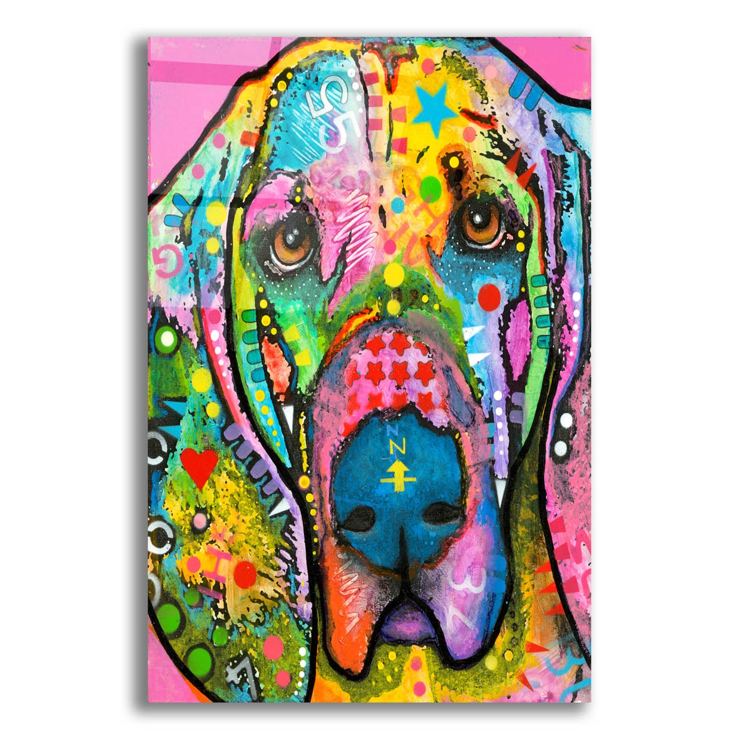 Epic Art 'Bloodhound' by Dean Russo, Acrylic Glass Wall Art,12x16