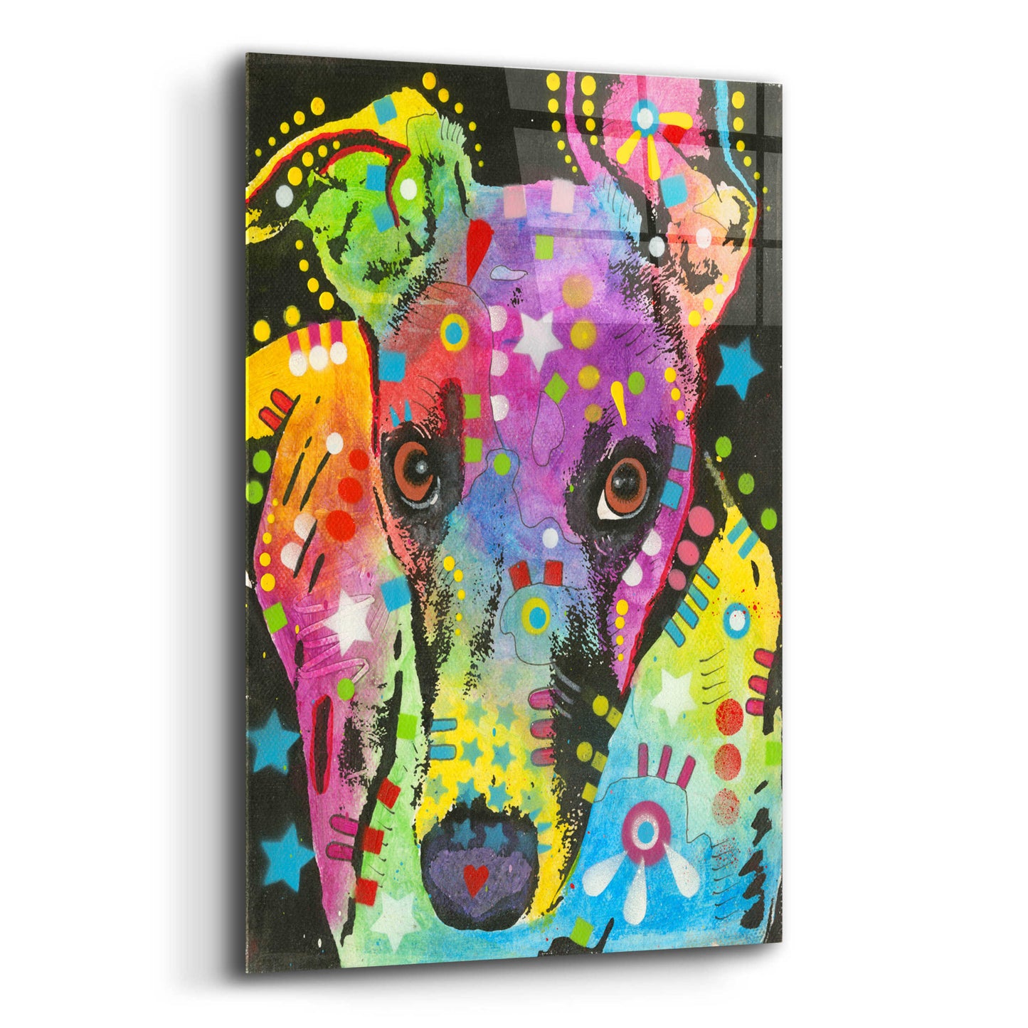 Epic Art 'Curious Greyhound' by Dean Russo, Acrylic Glass Wall Art,12x16