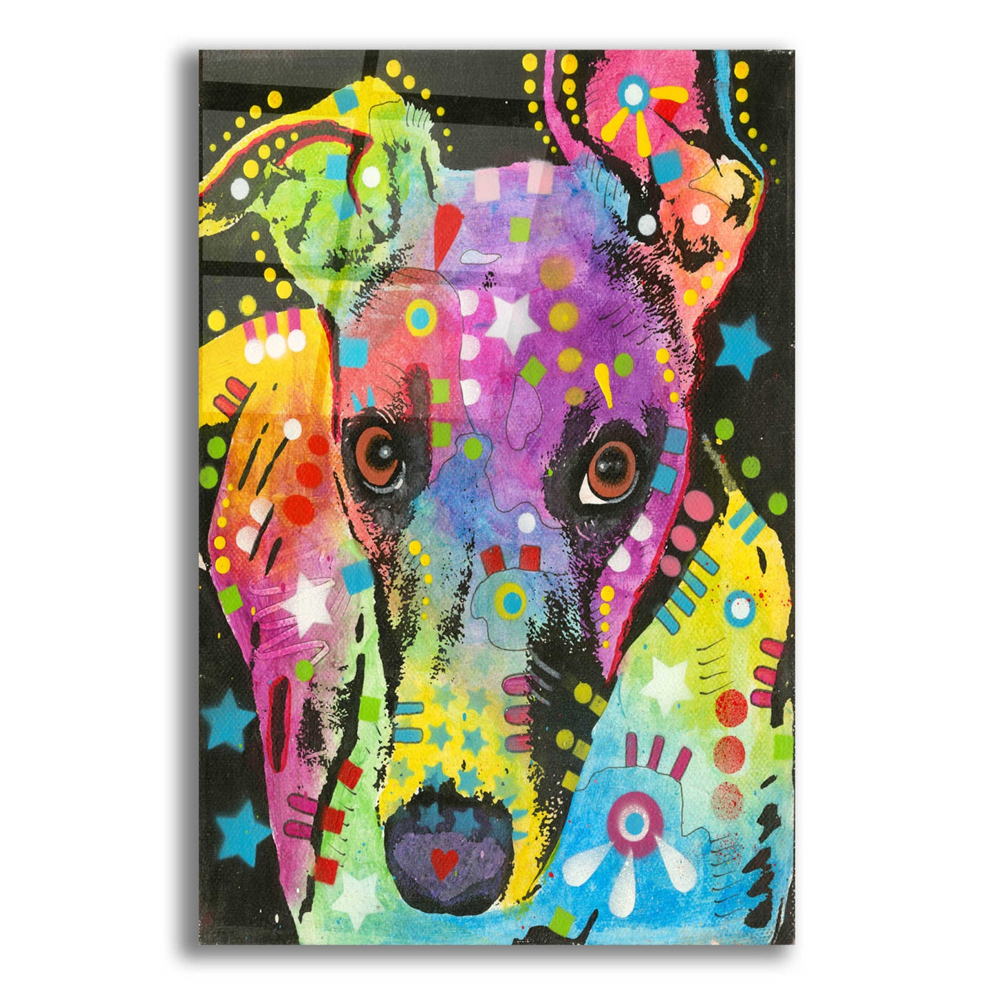 Epic Art 'Curious Greyhound' by Dean Russo, Acrylic Glass Wall Art,12x16