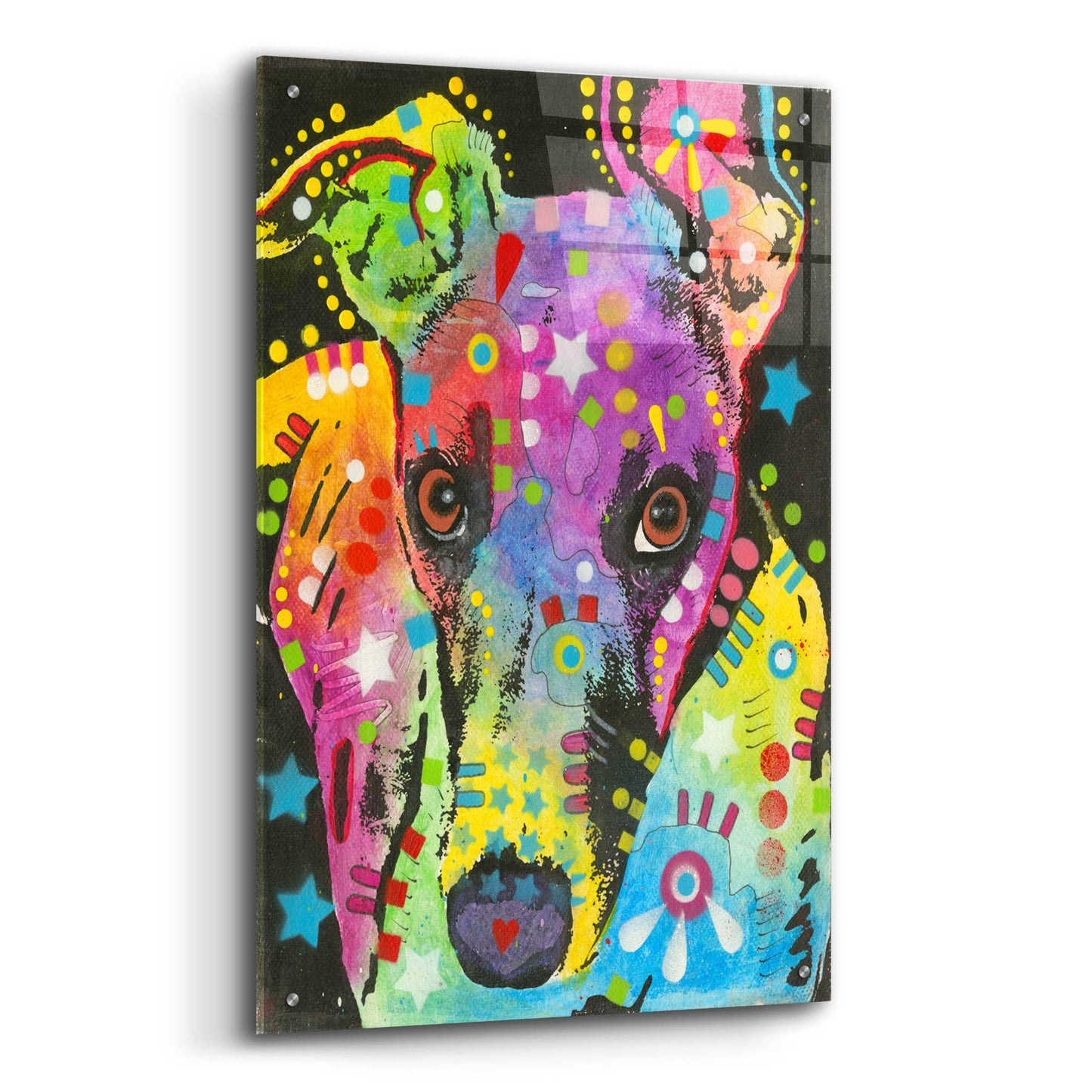 Epic Art 'Curious Greyhound' by Dean Russo, Acrylic Glass Wall Art,24x36