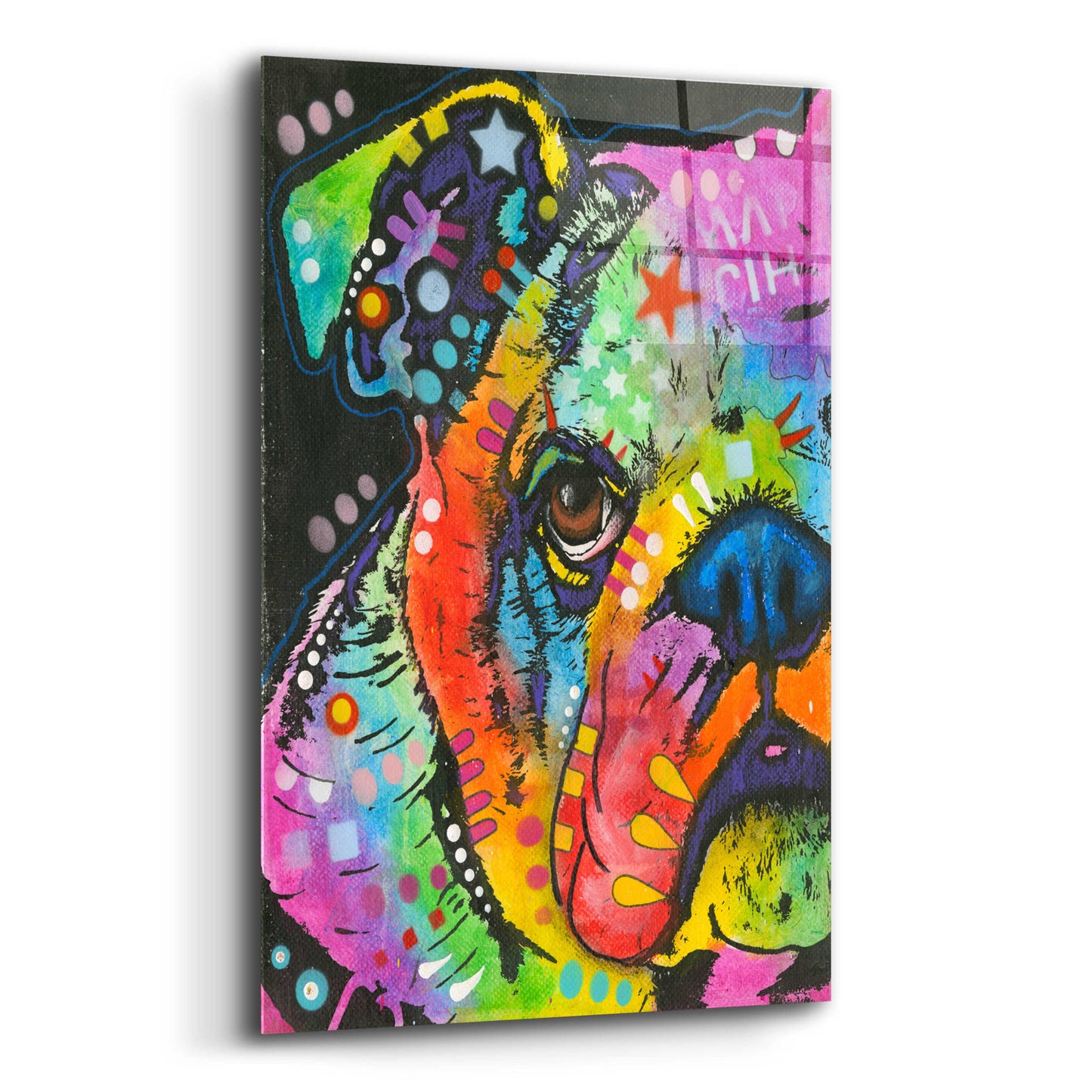 Epic Art 'What you lookin at' by Dean Russo, Acrylic Glass Wall Art,12x16