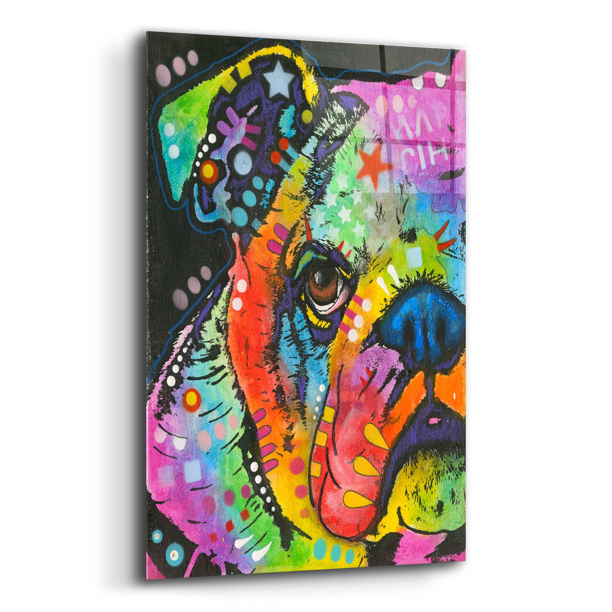 Epic Art 'What you lookin at' by Dean Russo, Acrylic Glass Wall Art,12x16