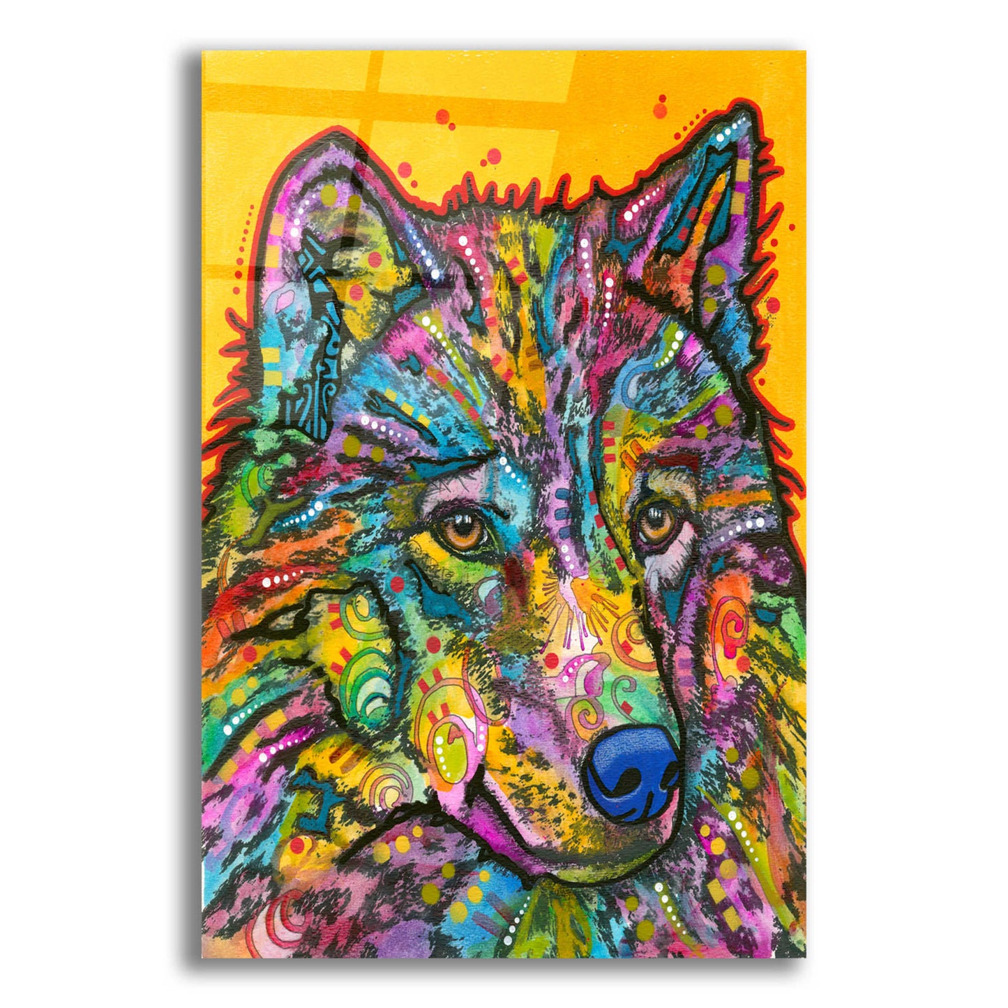 Epic Art 'Wolf 2' by Dean Russo, Acrylic Glass Wall Art,12x16